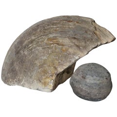 Ancient Concretion Geological Specimen