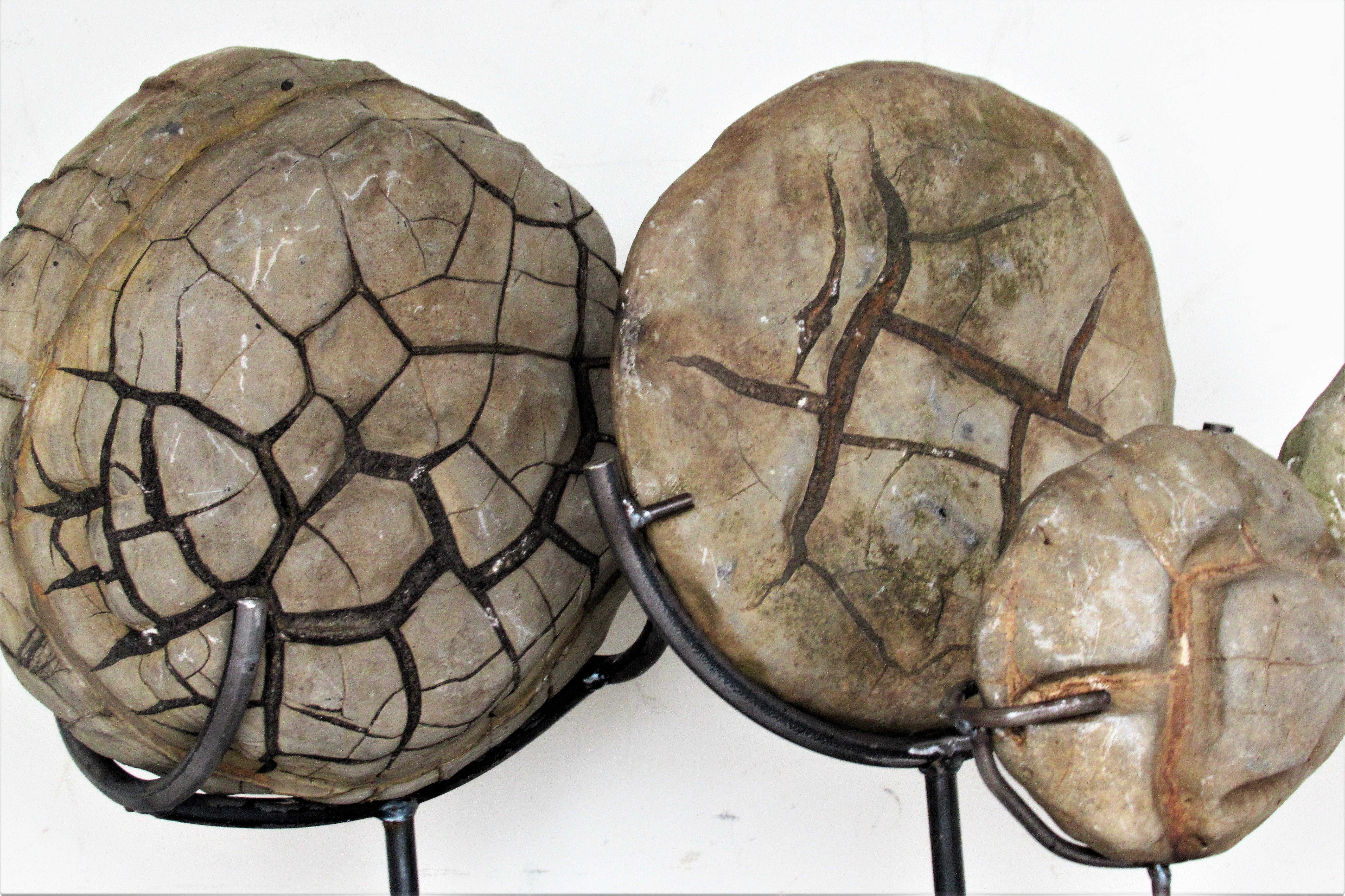 Ancient Concretion, Turtle Stones, Natural History Mounted Specimens 1