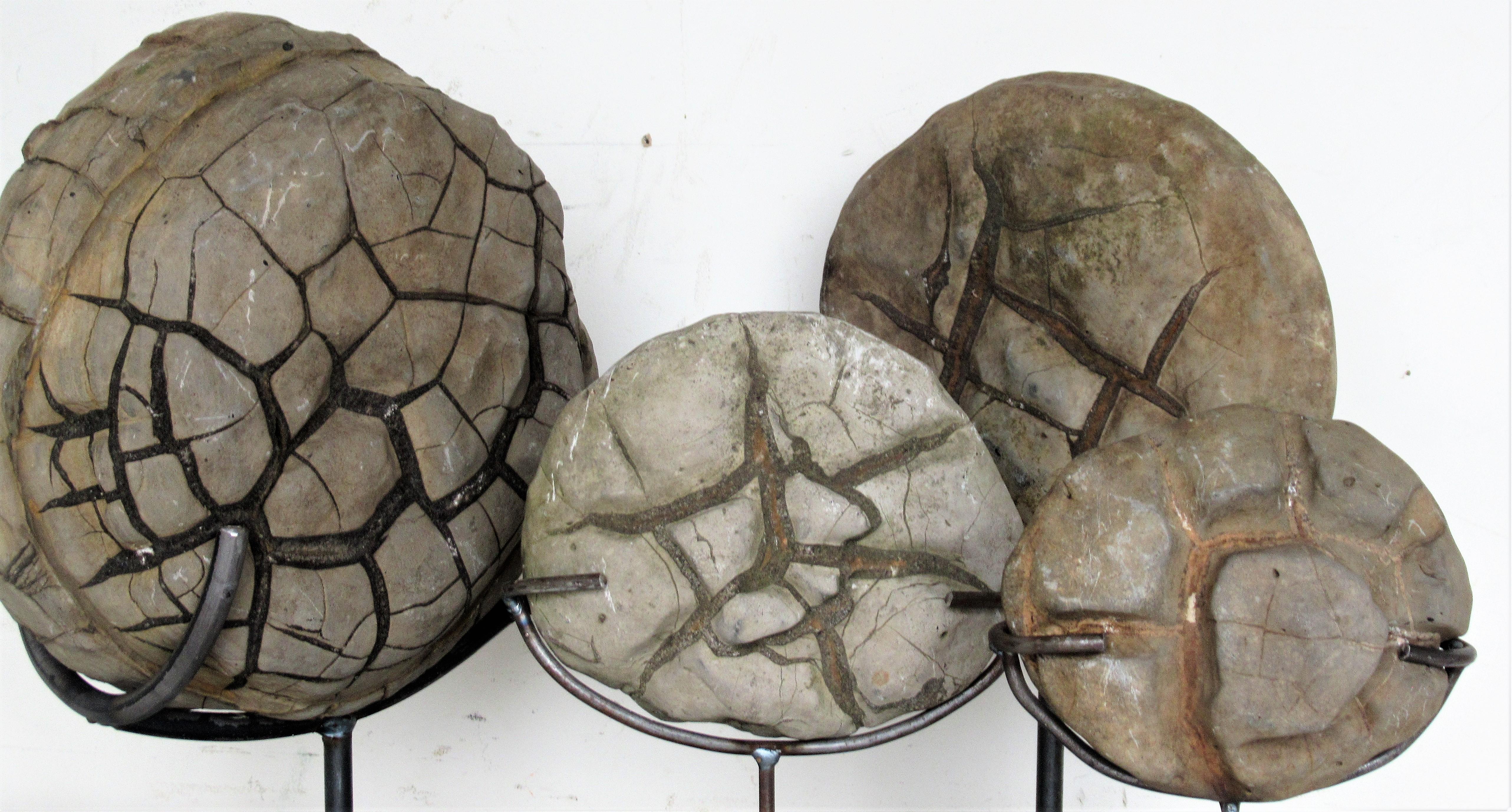 Ancient Concretion, Turtle Stones, Natural History Mounted Specimens 5