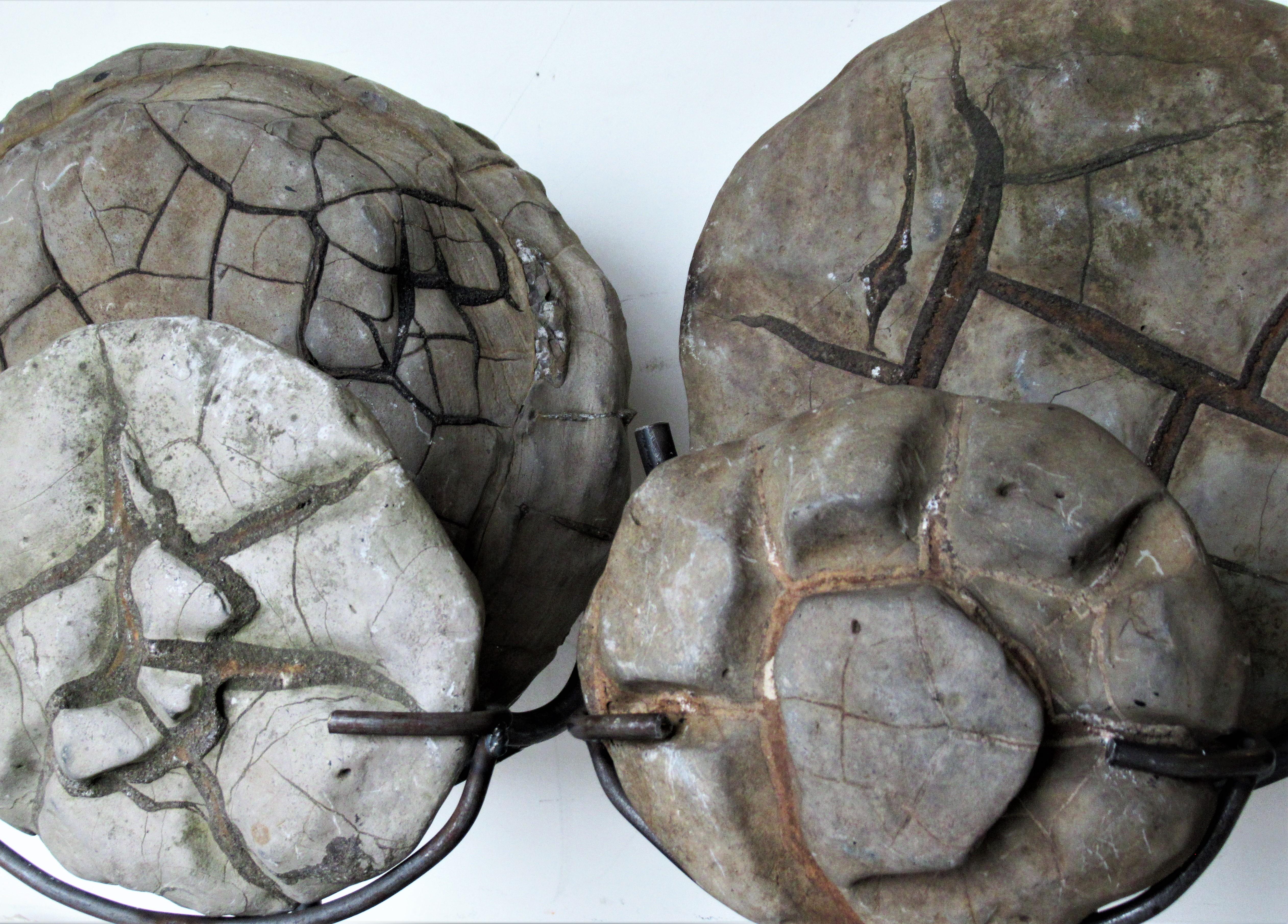 Ancient Concretion, Turtle Stones, Natural History Mounted Specimens 9