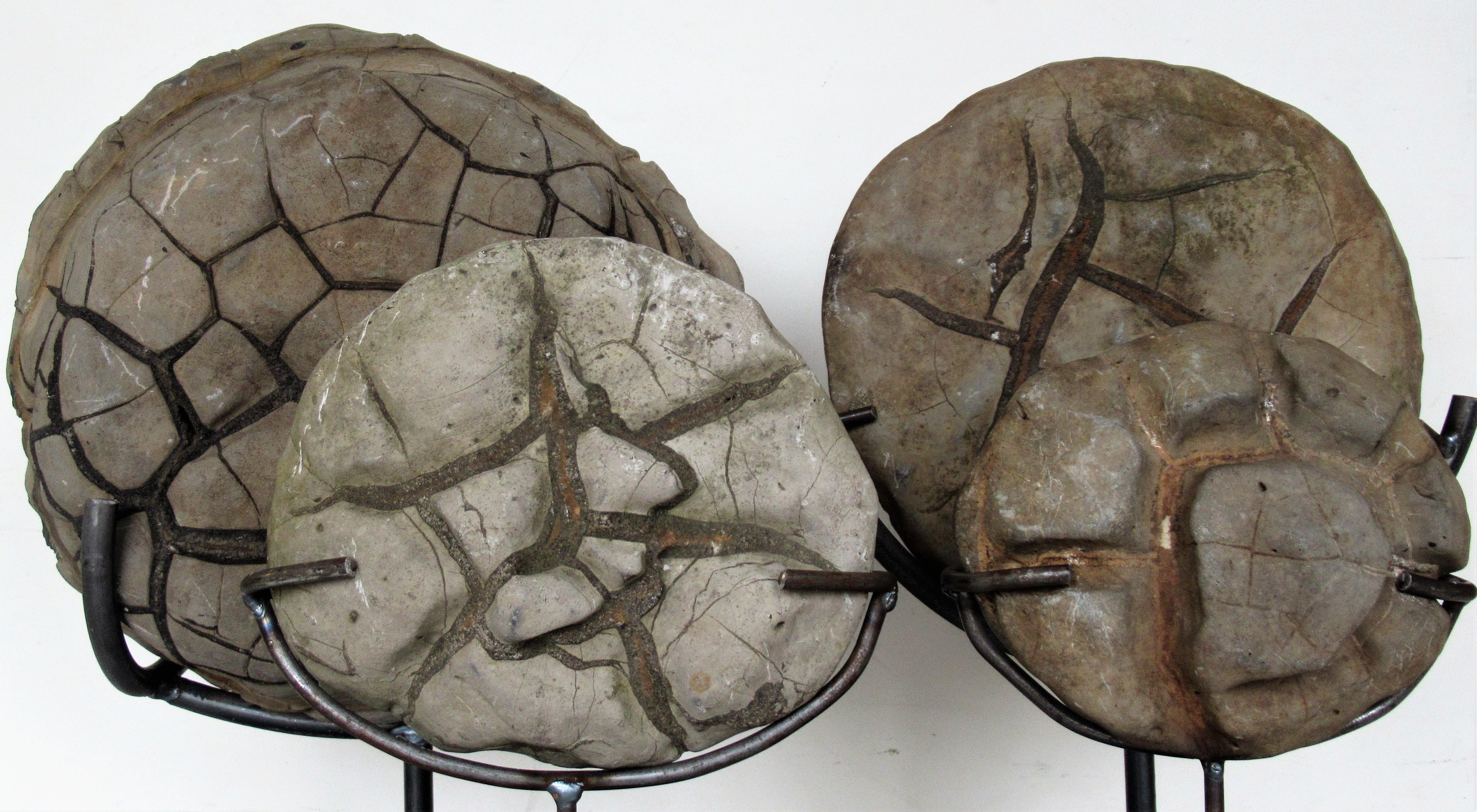 Ancient Concretion, Turtle Stones, Natural History Mounted Specimens 10