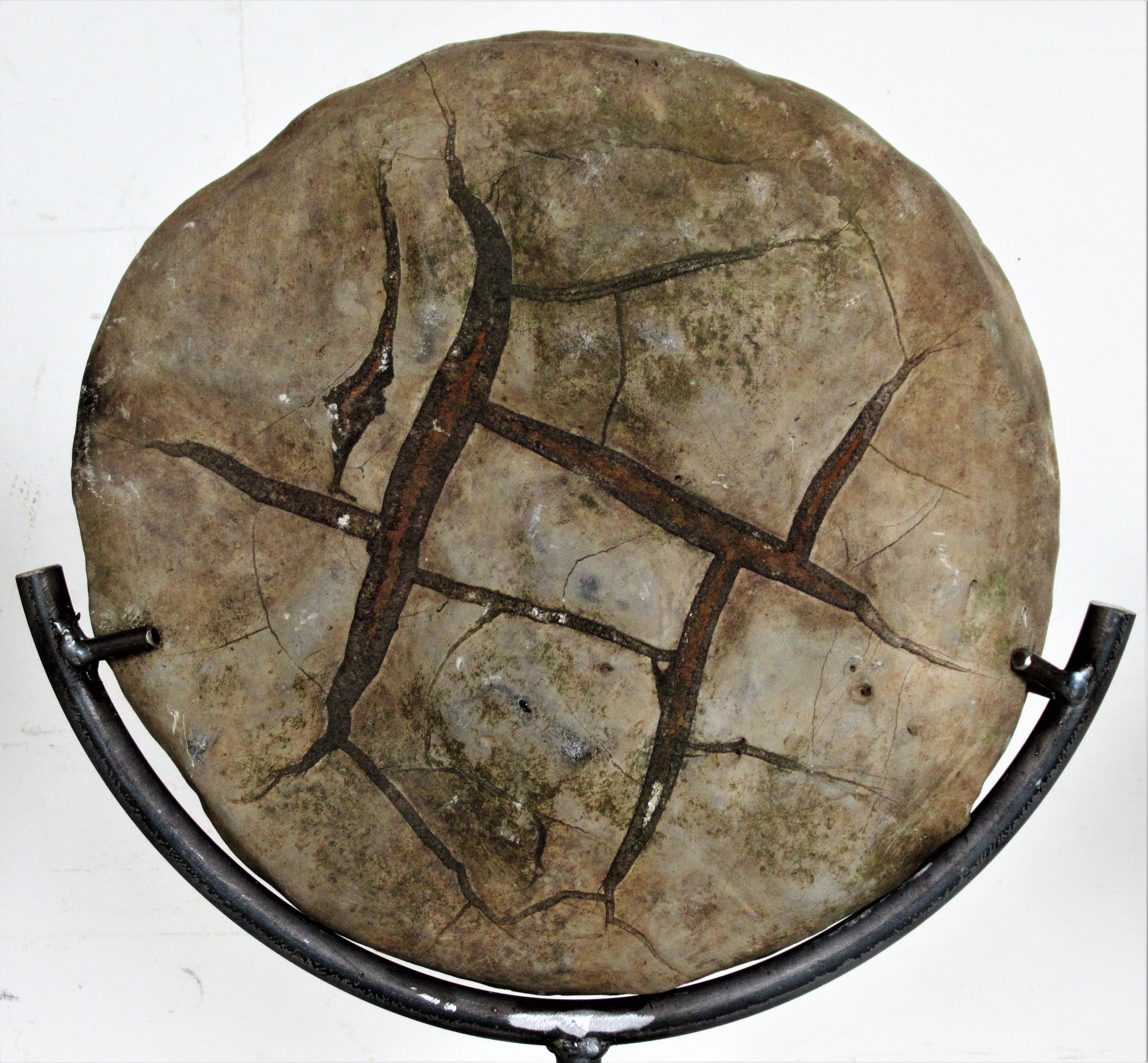 stone turtle