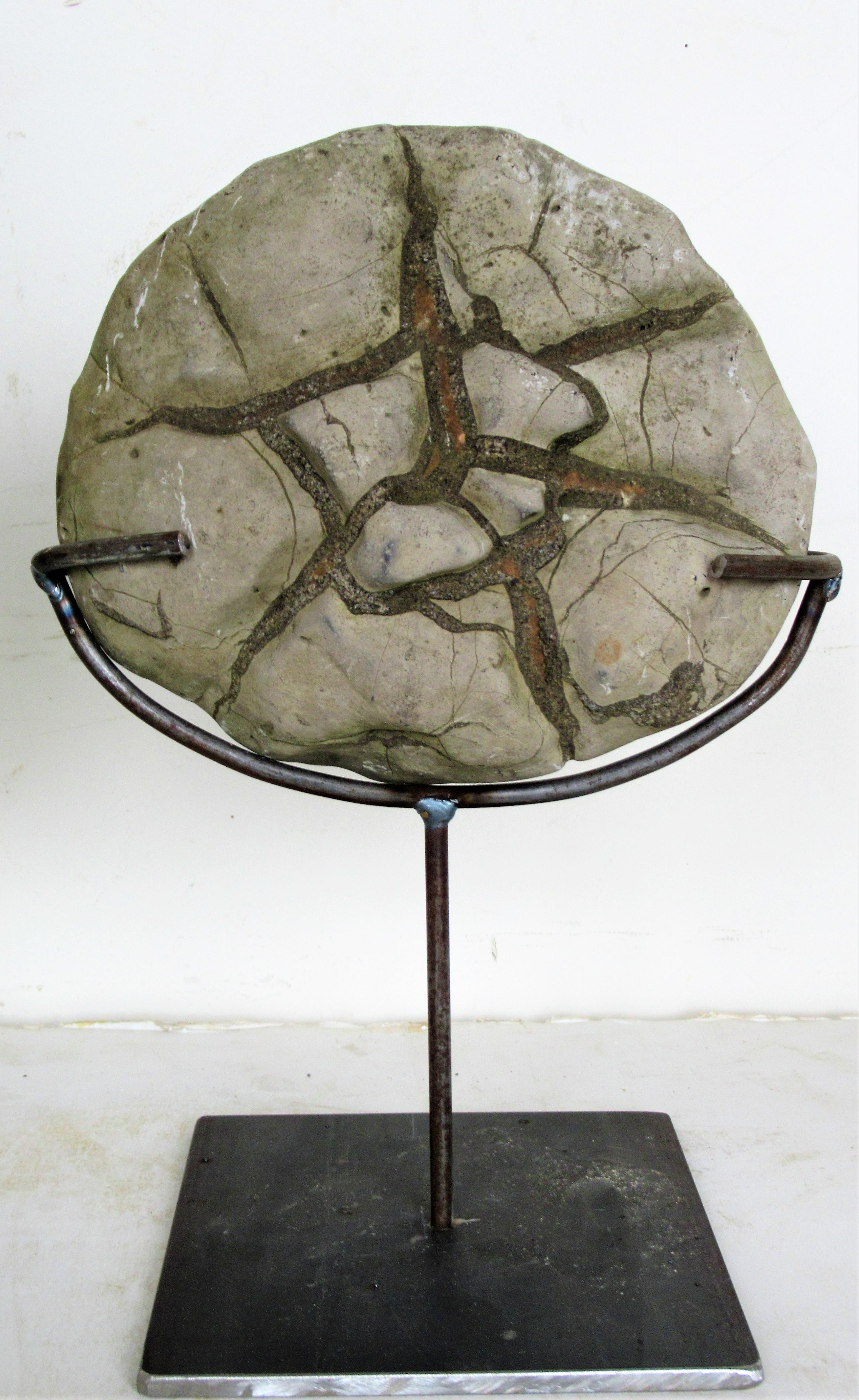 American Ancient Concretion, Turtle Stones, Natural History Mounted Specimens