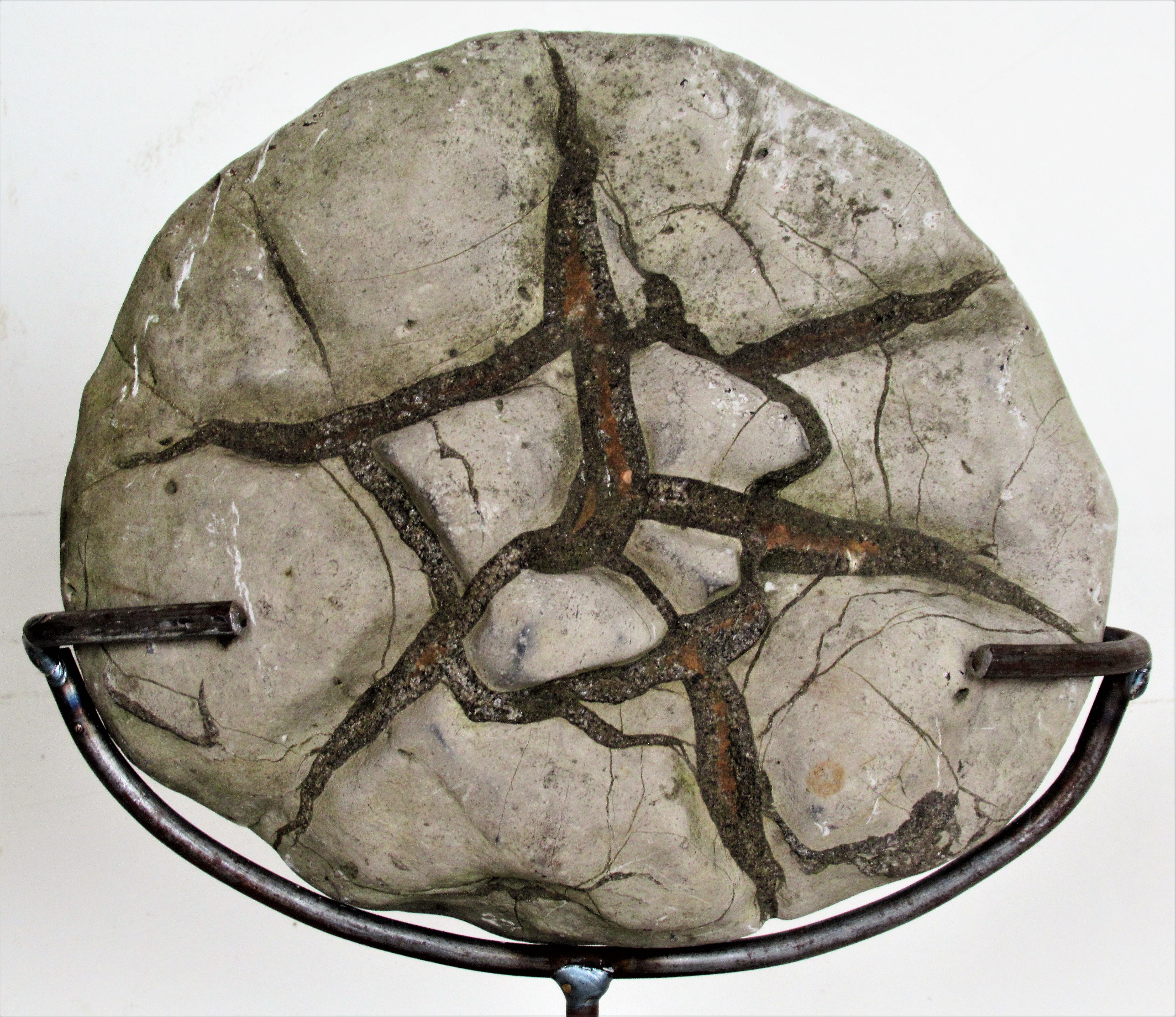 Ancient Concretion, Turtle Stones, Natural History Mounted Specimens In Good Condition In Rochester, NY