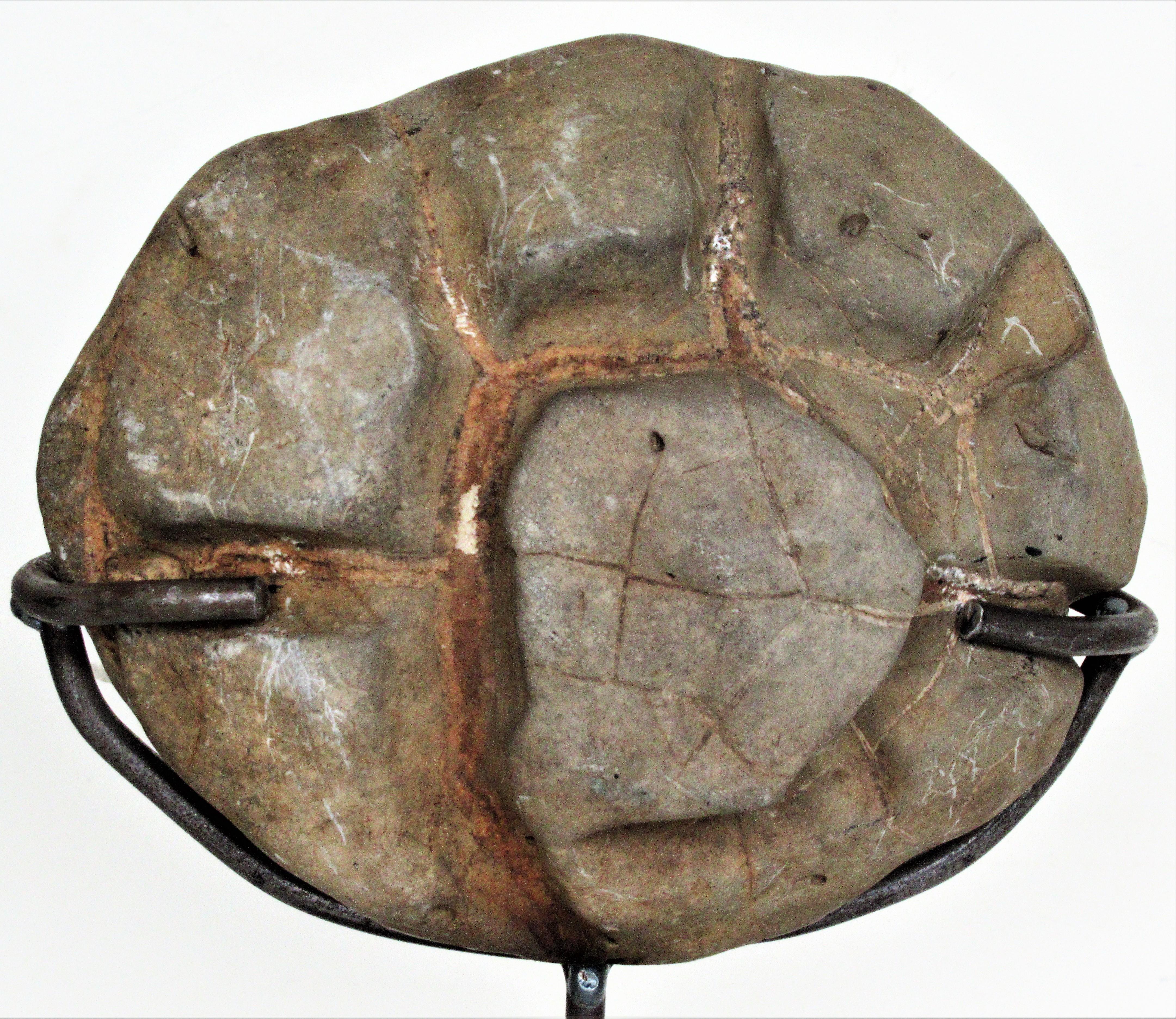 Steel Ancient Concretion, Turtle Stones, Natural History Mounted Specimens