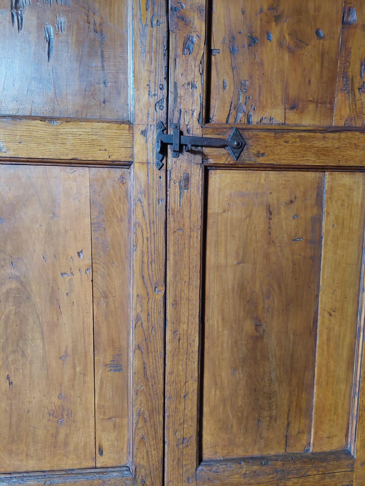 Ancient Door / Rustic Cabinet with Two Doors from Northern Italy, 18th Century In Good Condition For Sale In Cuneo, Italy (CN)