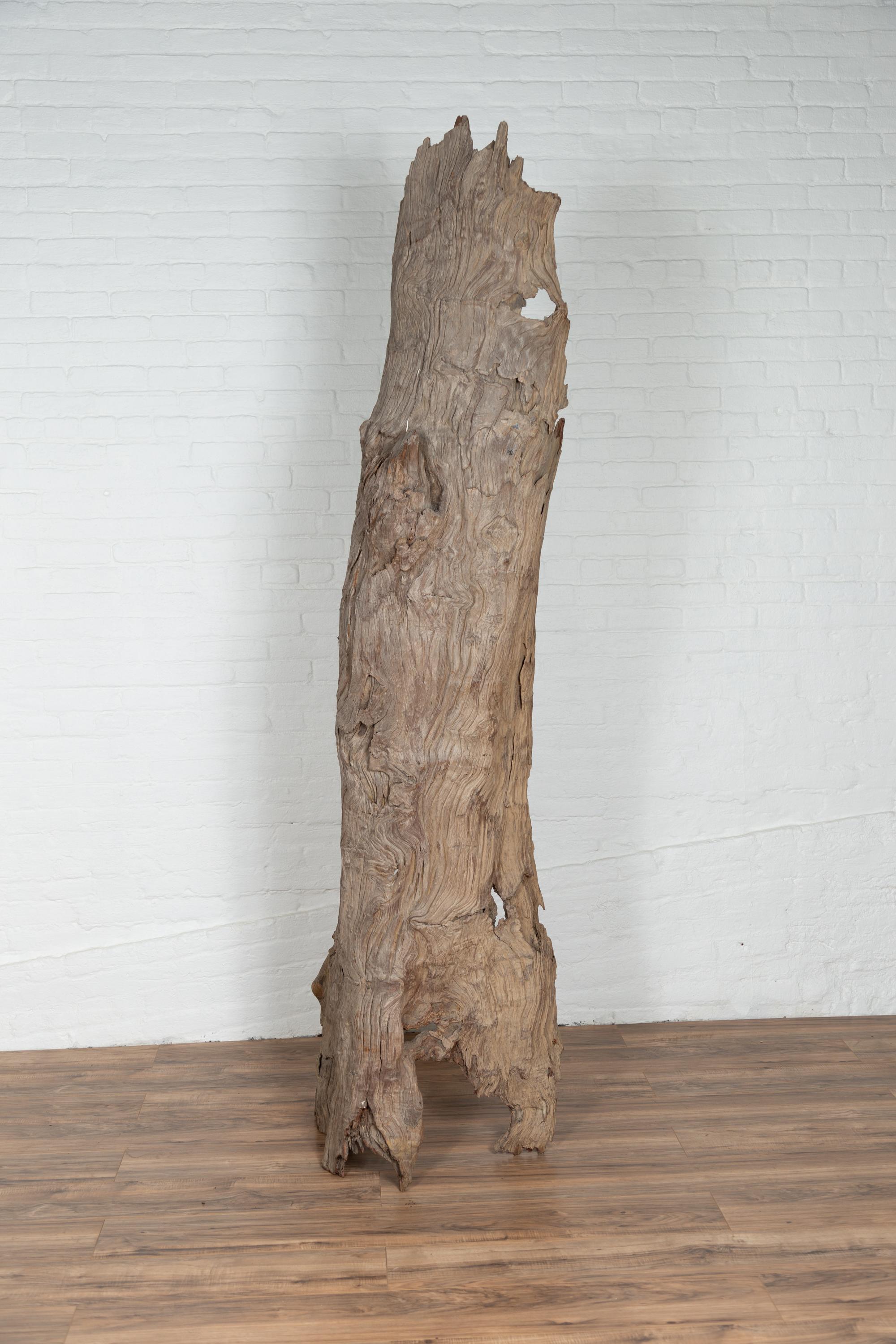 Ancient Driftwood Carving from Northern Thailand Found in the Chiang Mai Region For Sale 6