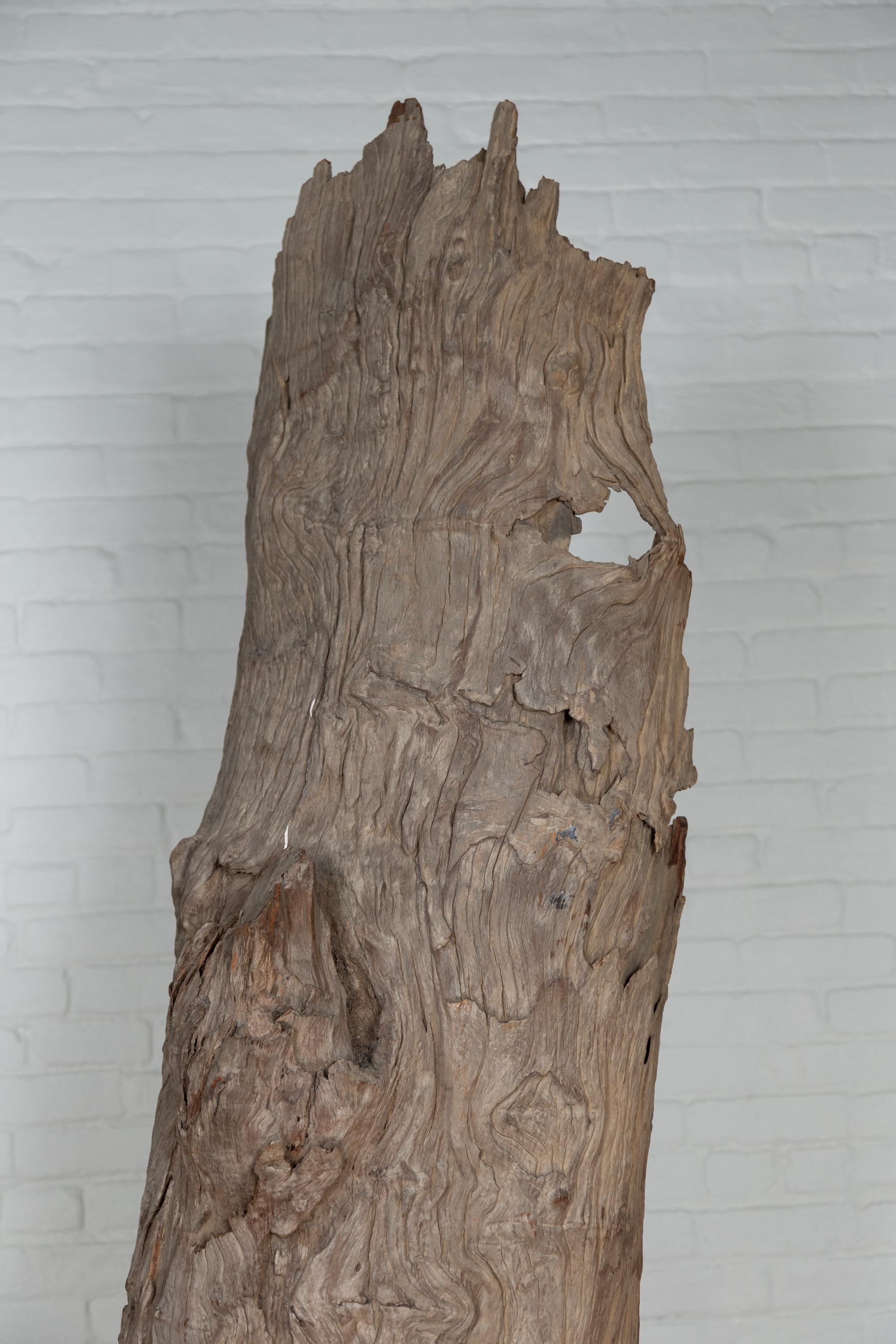 Ancient Driftwood Carving from Northern Thailand Found in the Chiang Mai Region For Sale 7