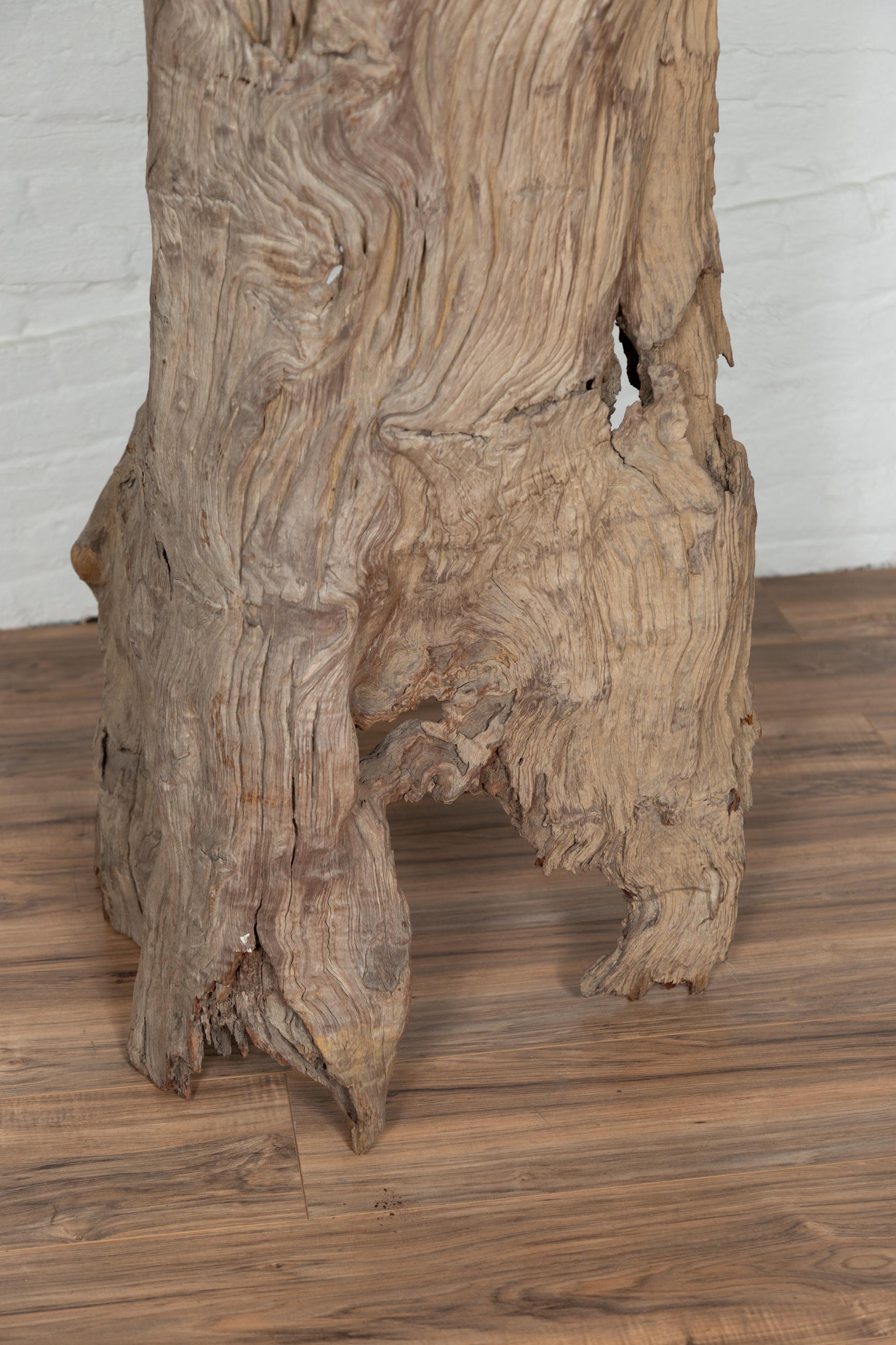 Ancient Driftwood Carving from Northern Thailand Found in the Chiang Mai Region For Sale 8