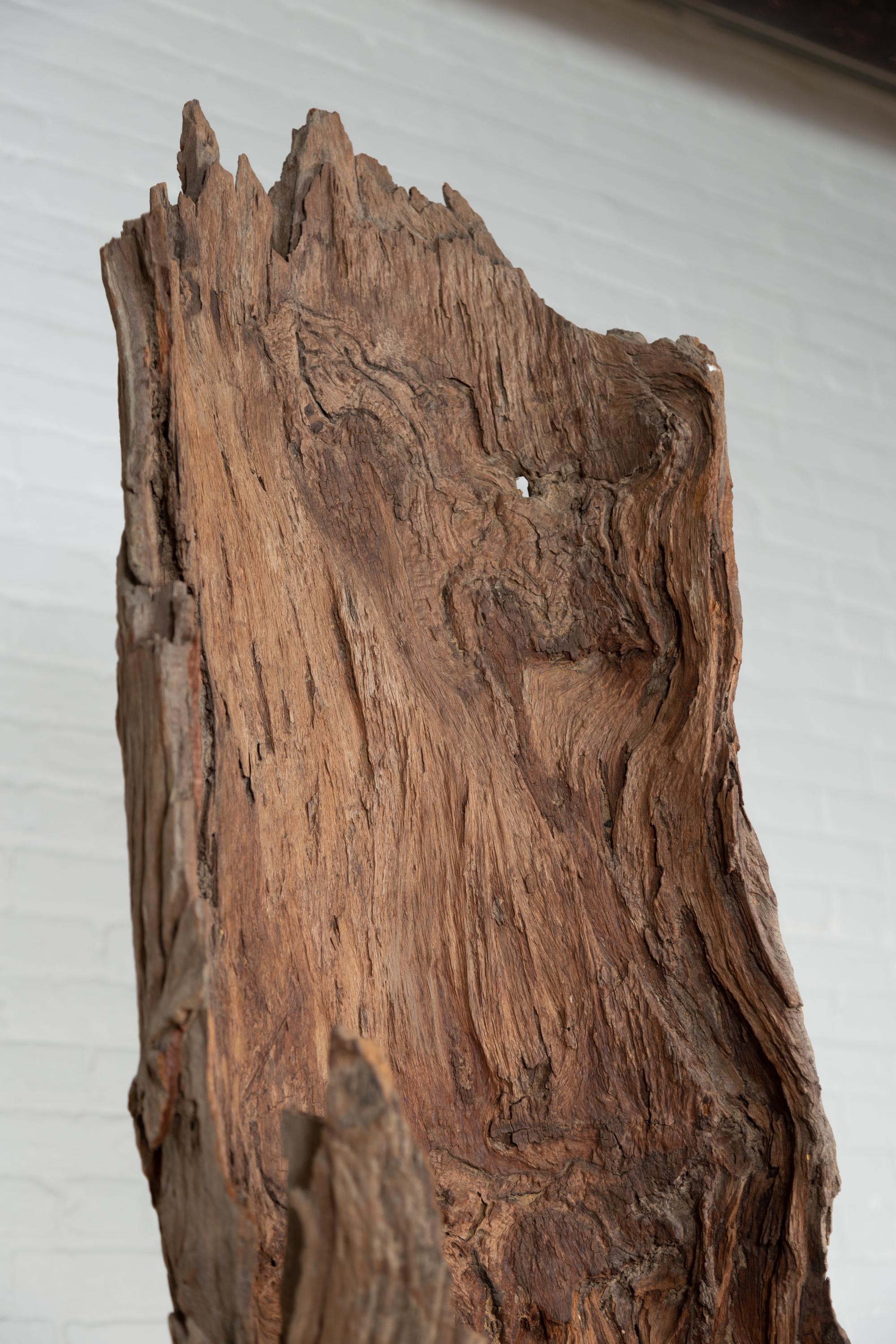 Ancient Driftwood Carving from Northern Thailand Found in the Chiang Mai Region For Sale 2