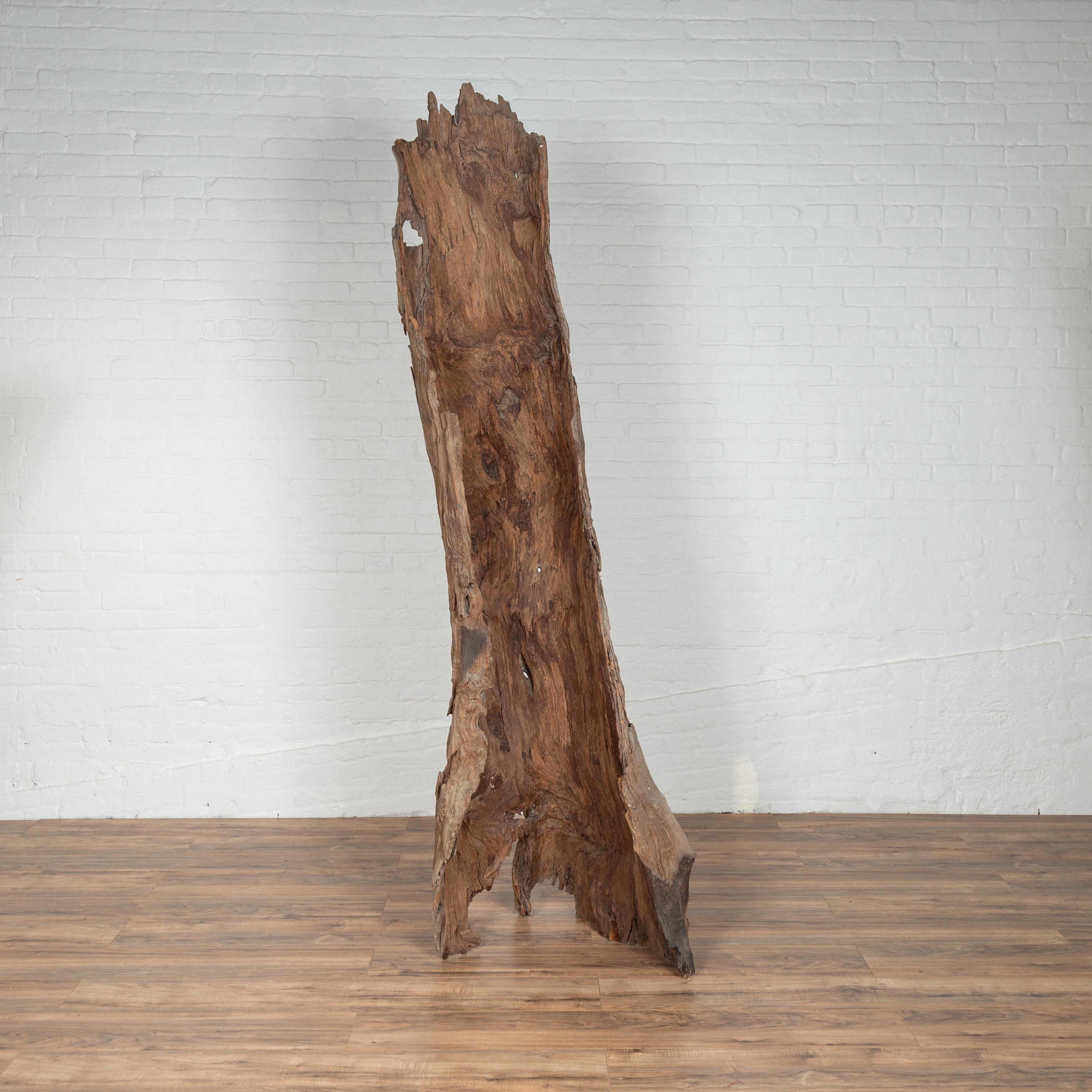 Ancient Driftwood Carving from Northern Thailand Found in the Chiang Mai Region For Sale 3