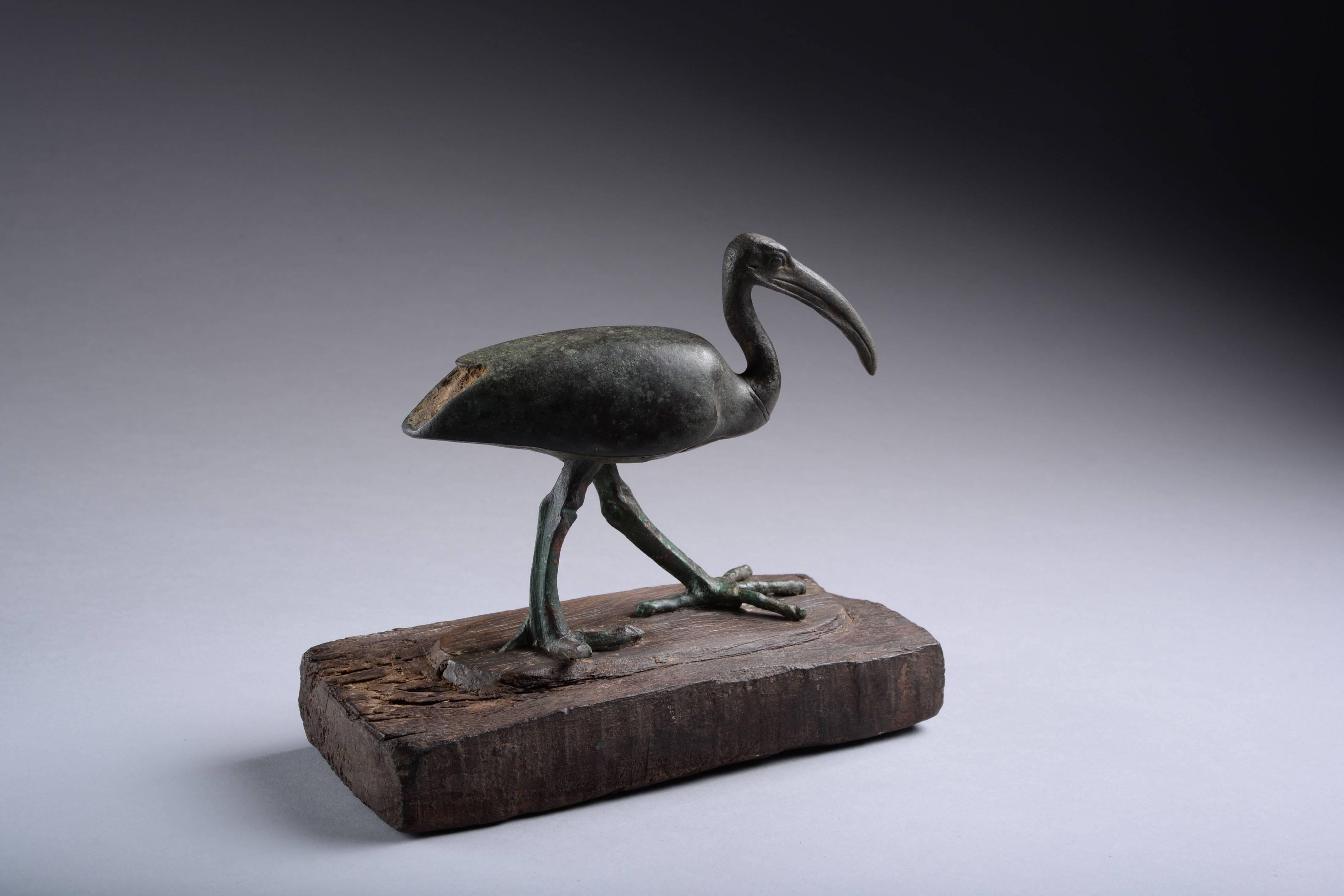 sacred bird ancient egypt