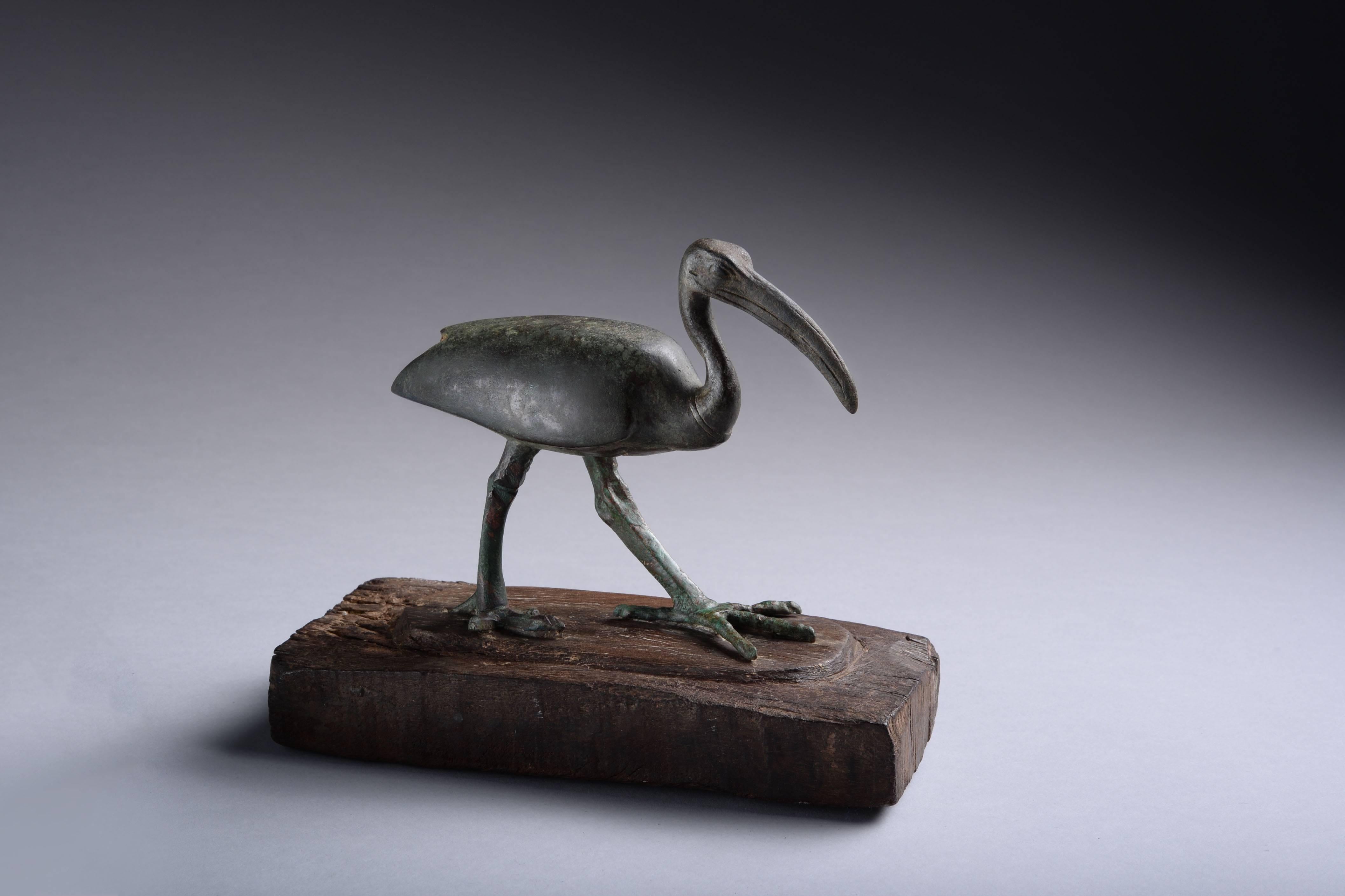 Ancient Egyptian Bronze Sacred Ibis Bird, 664 BC In Excellent Condition In London, GB