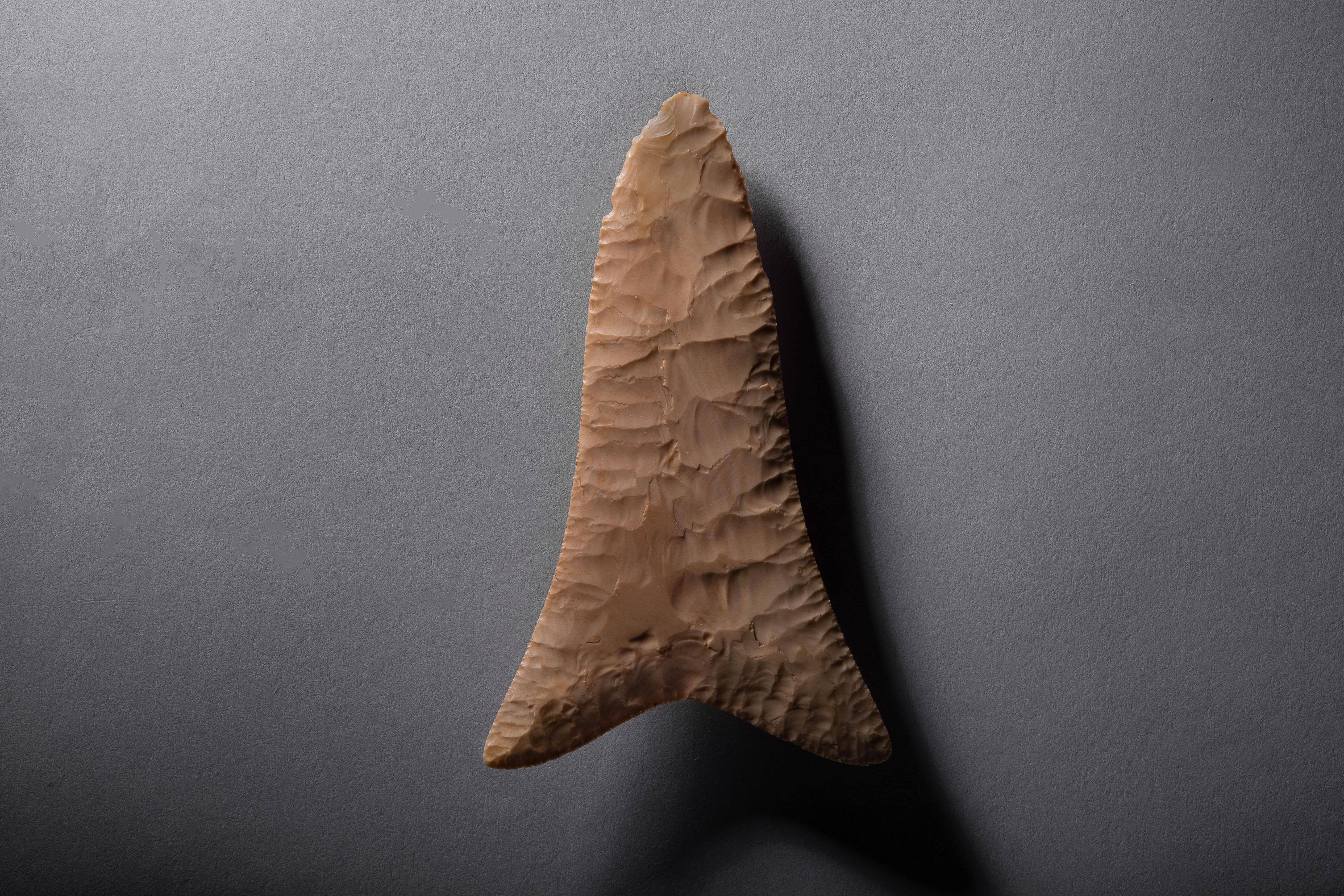 Ancient Egyptian Flint Knife
Predynastic period, Naqada I-II, 4th millennium B.C.
Flint

This exquisite fish-tail knife is an extraordinary example of Predynastic flint workmanship. The blade is thin and tactile with delicate saw-like teeth. The