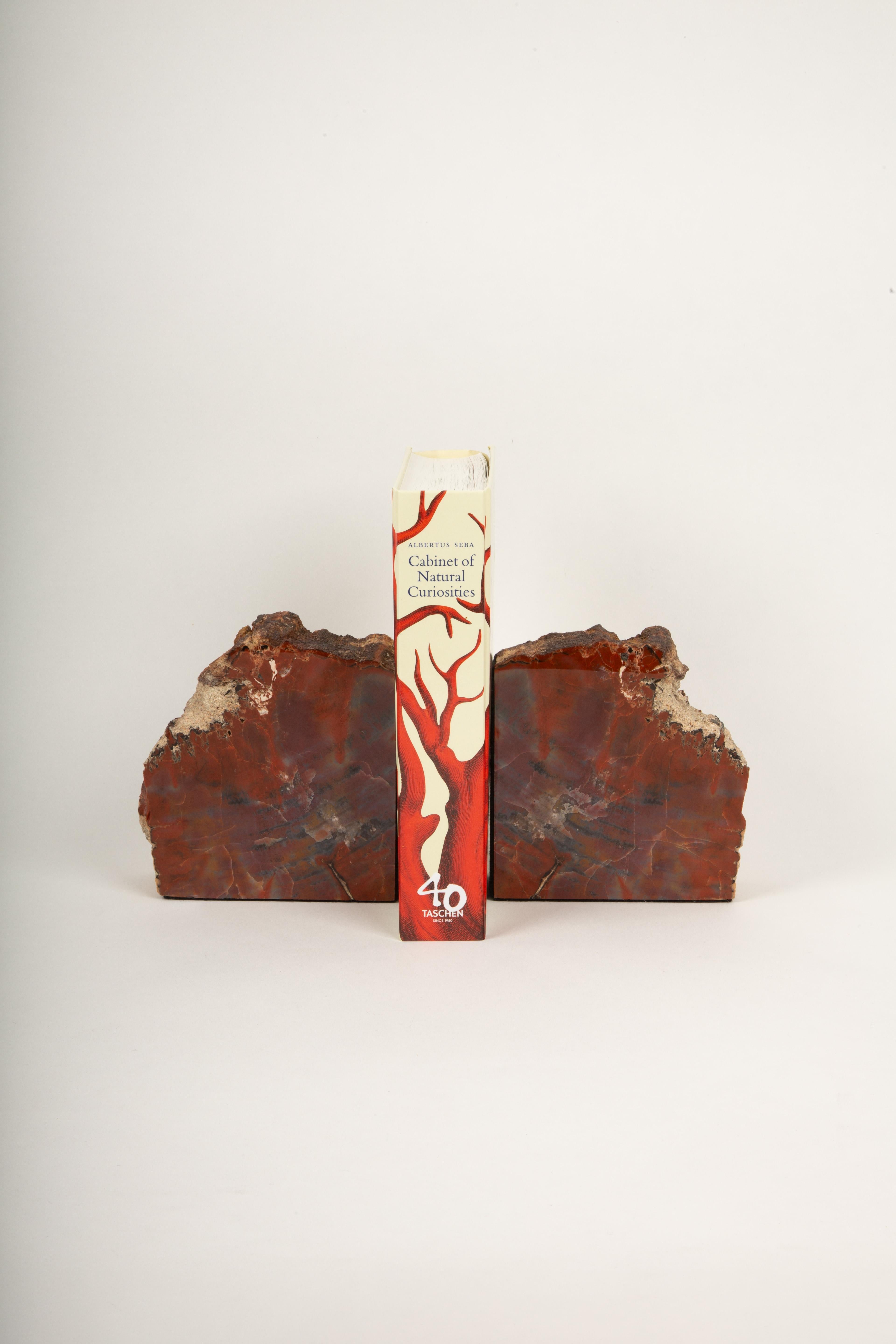 This remarkable pair of petrified wood bookends measures 10.5” x 2” x 5.5” and showcases the natural transformation of wood into stone over millions of years. With rich, earthy hues of red, brown, and subtle hints of gray, these bookends highlight