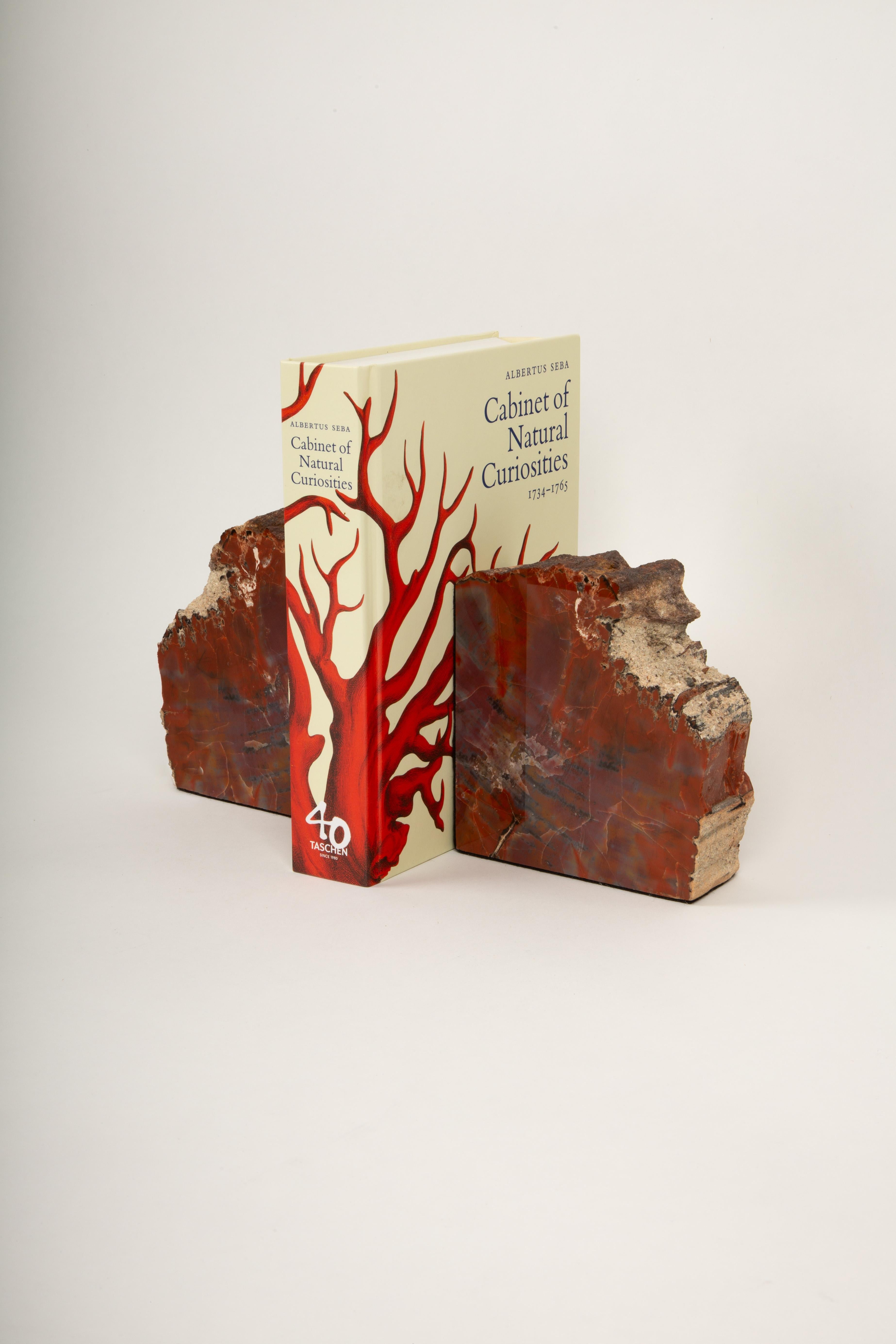 Ancient Forest Treasures: Petrified Wood Bookends In New Condition For Sale In New York, NY