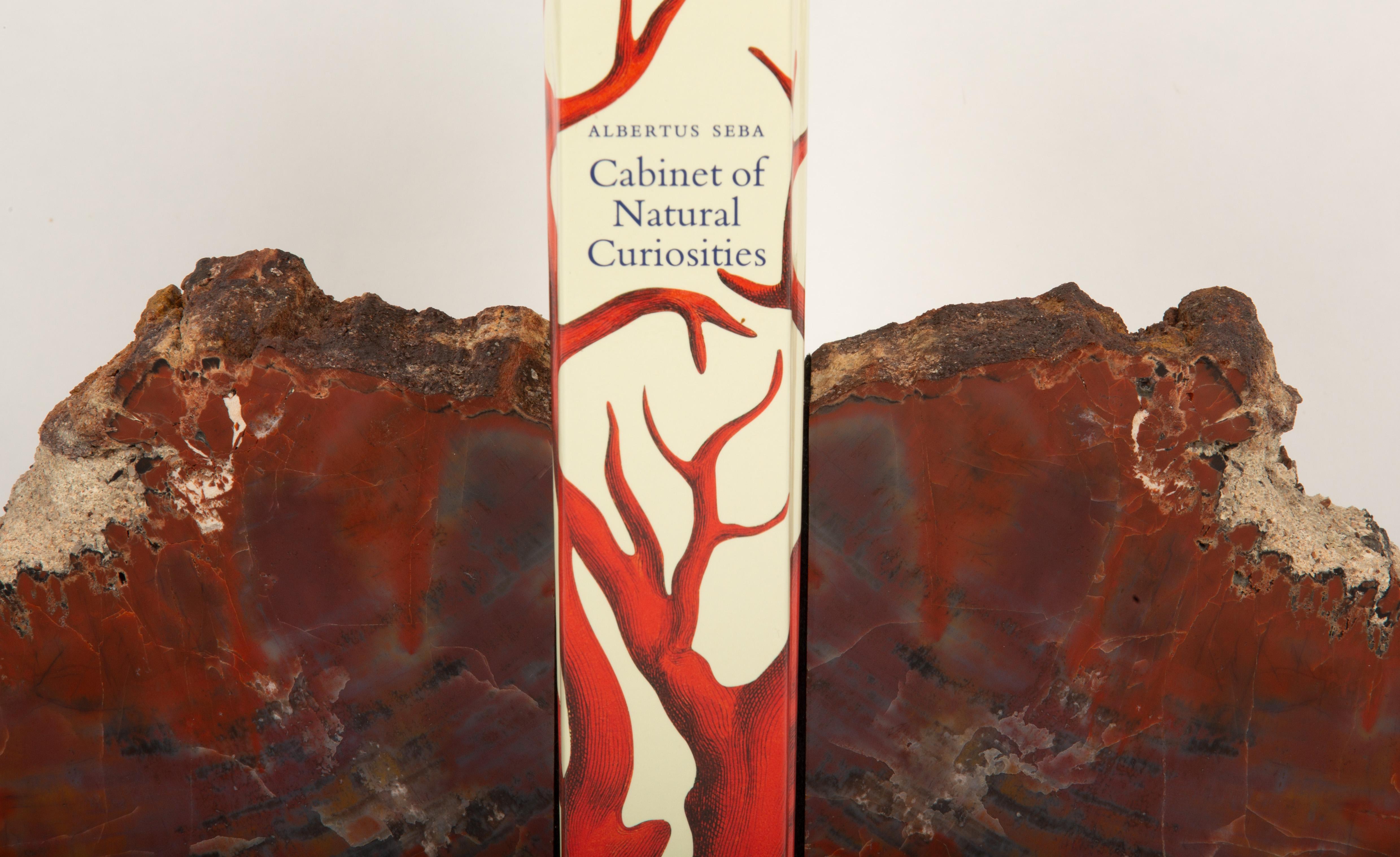 Contemporary Ancient Forest Treasures: Petrified Wood Bookends For Sale