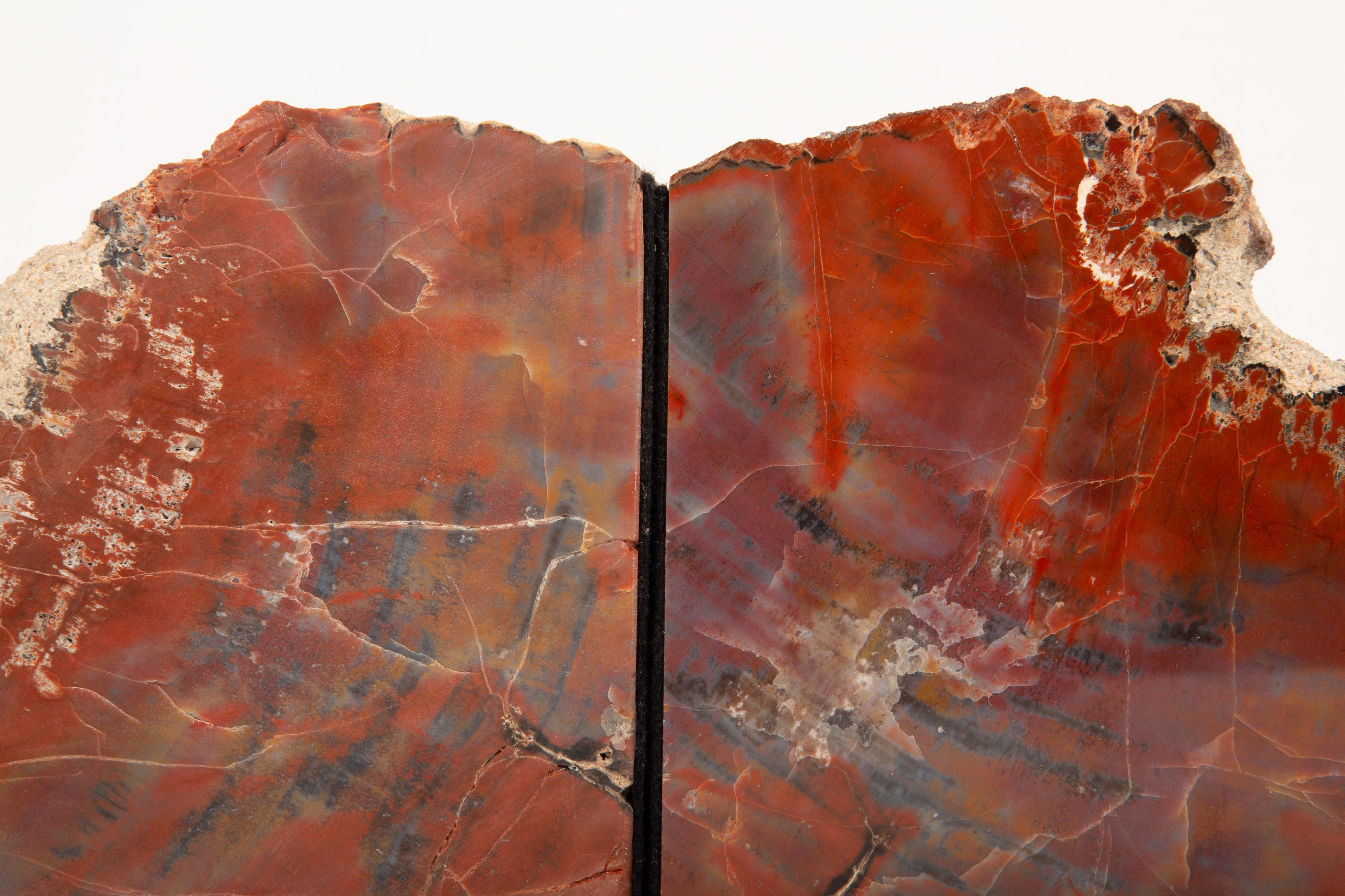 Ancient Forest Treasures: Petrified Wood Bookends For Sale 1