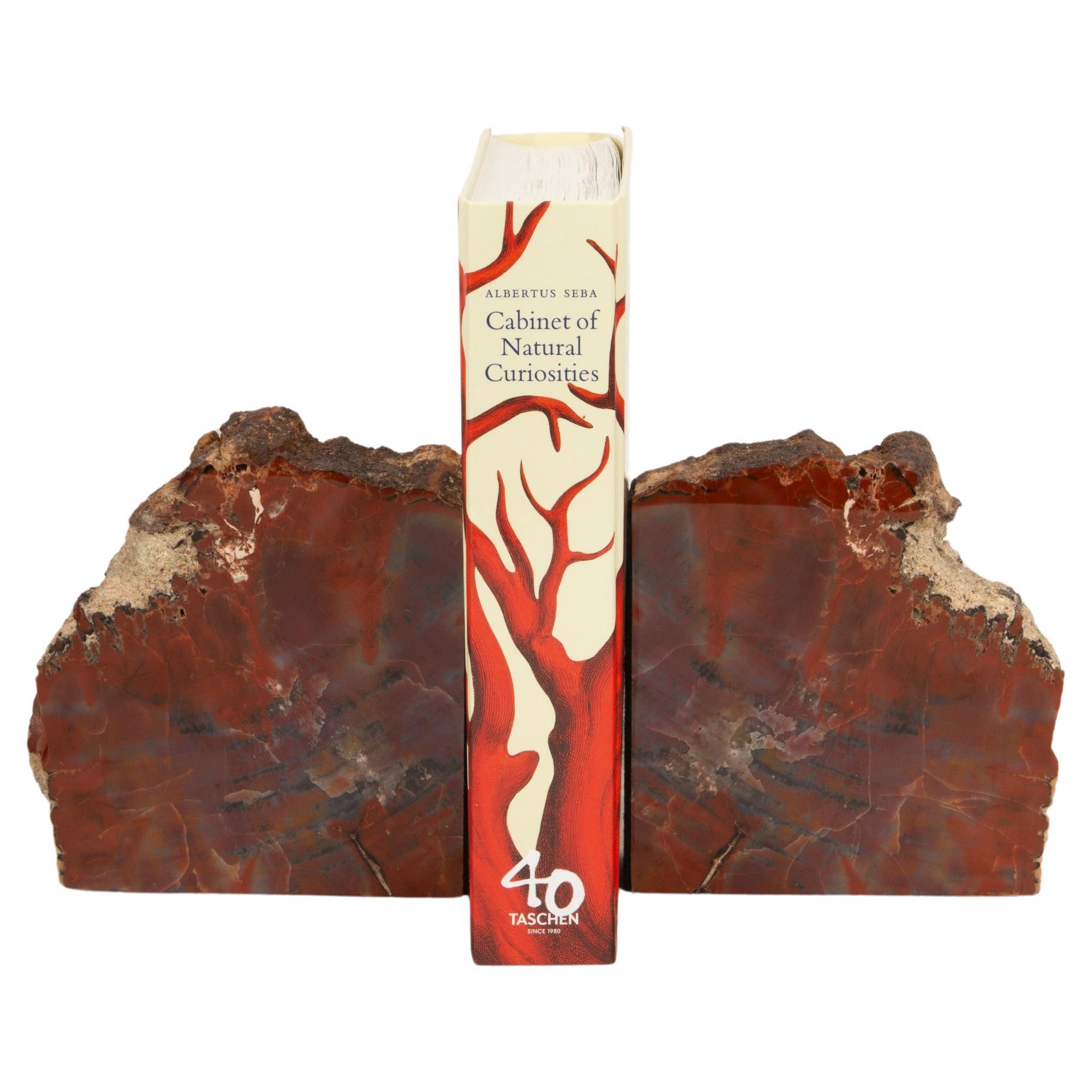 Ancient Forest Treasures: Petrified Wood Bookends
