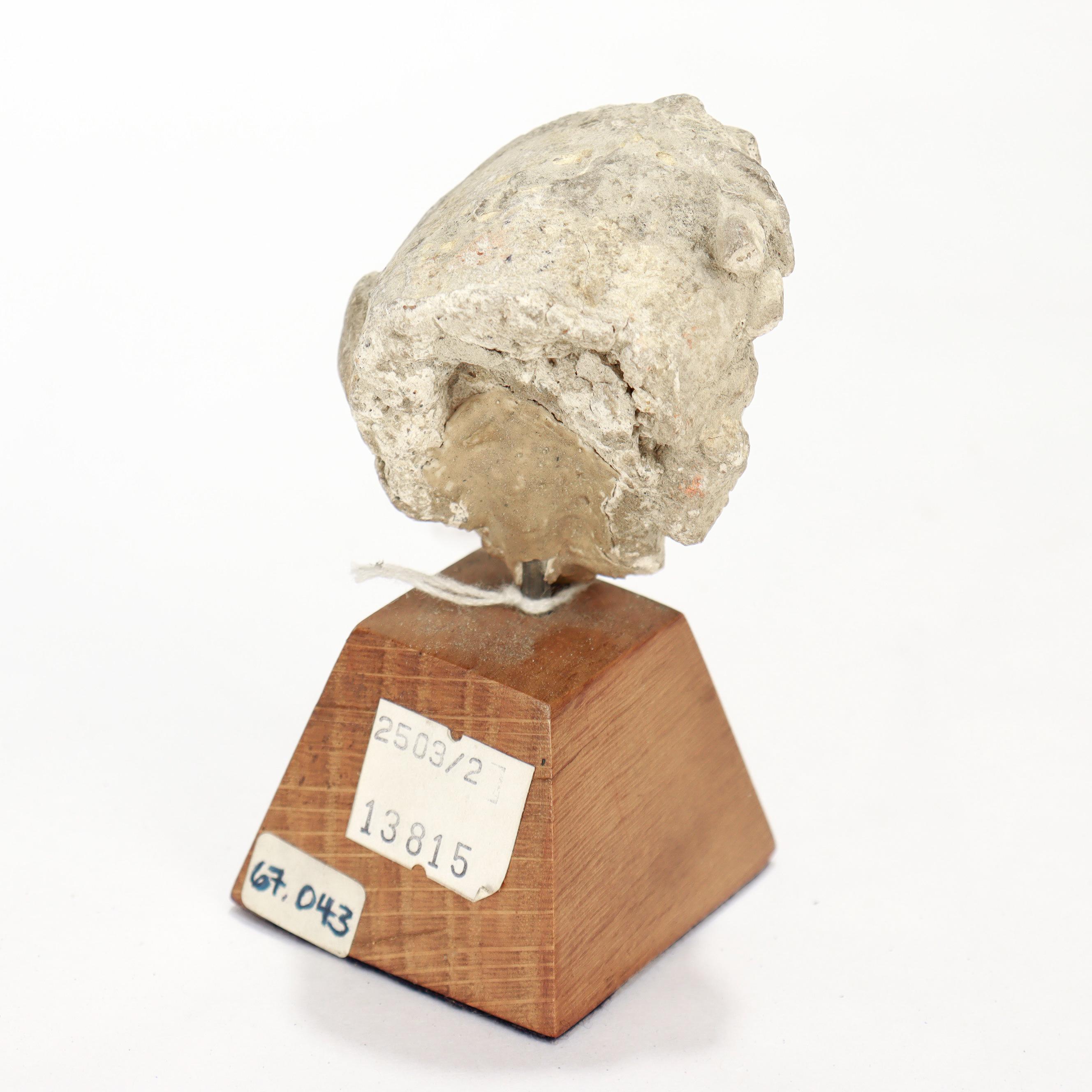 Ancient Gandharan Miniature Stucco Bust of a Man, ca. 5th Century For Sale 5