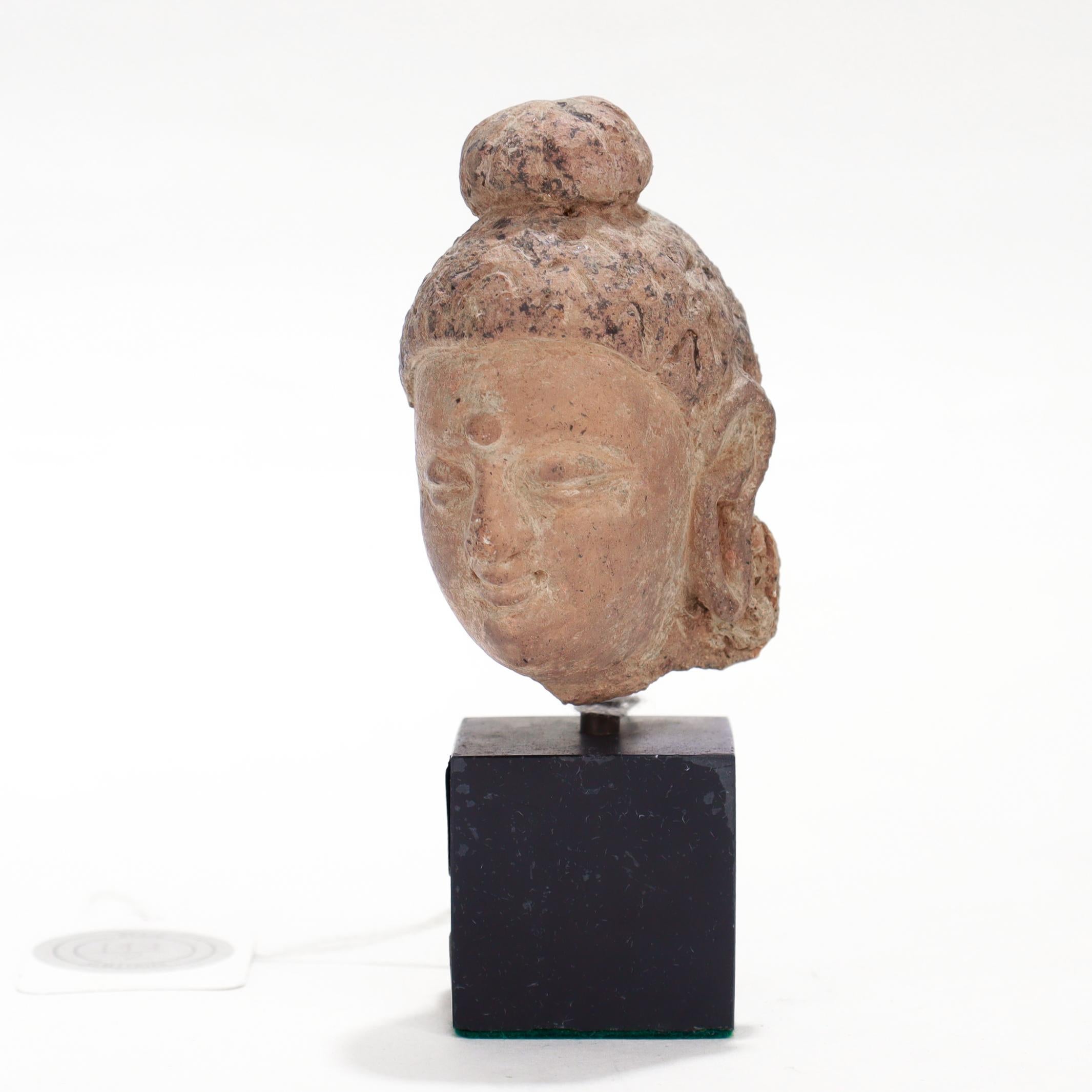 Indian Ancient Gandharan Miniature Stucco Bust of the Buddha, ca. 5th Century For Sale