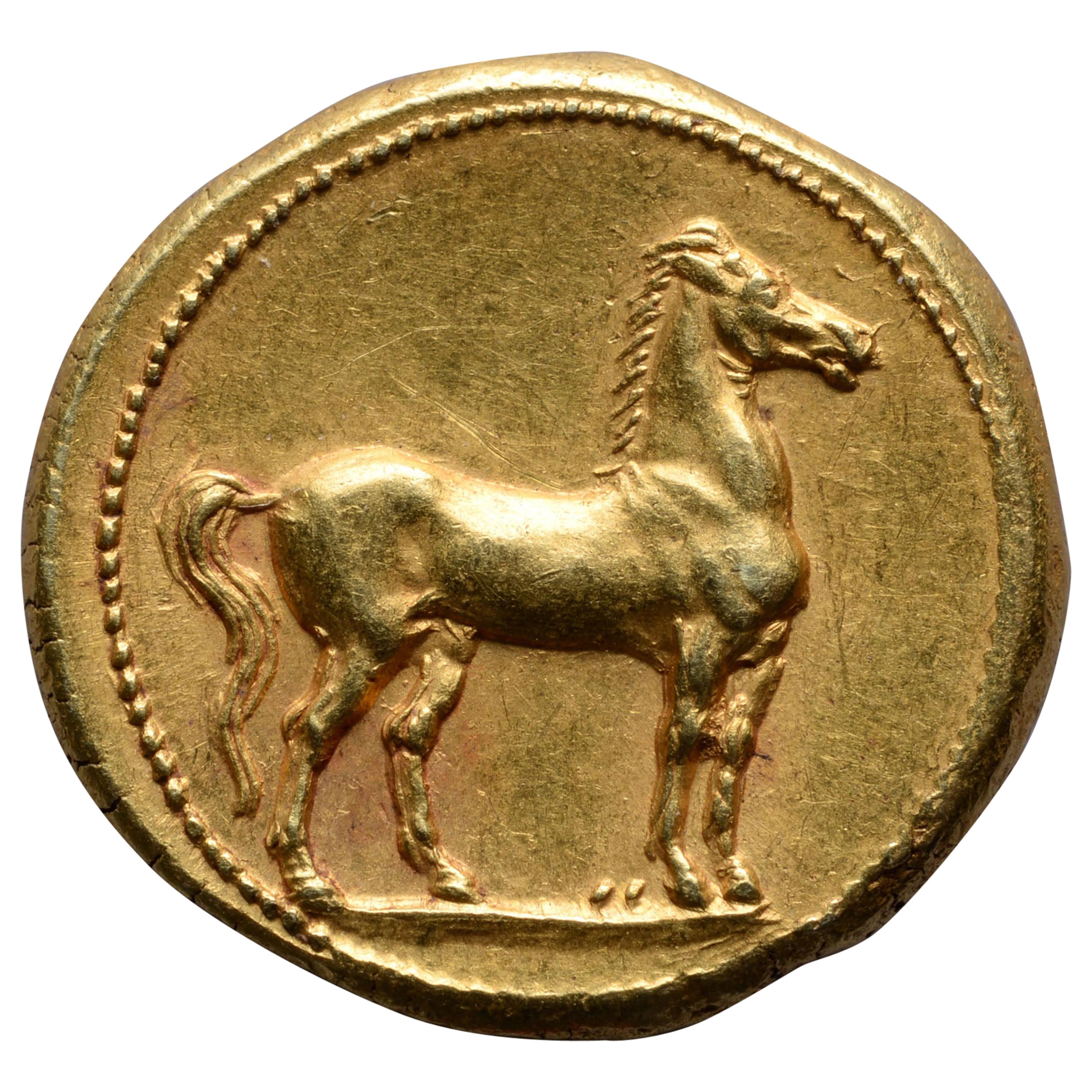 Ancient Gold Punic Coin from Carthage, 310 BC