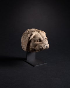 Ancient Greek Marble Lion Architectural Waterspout from a Temple