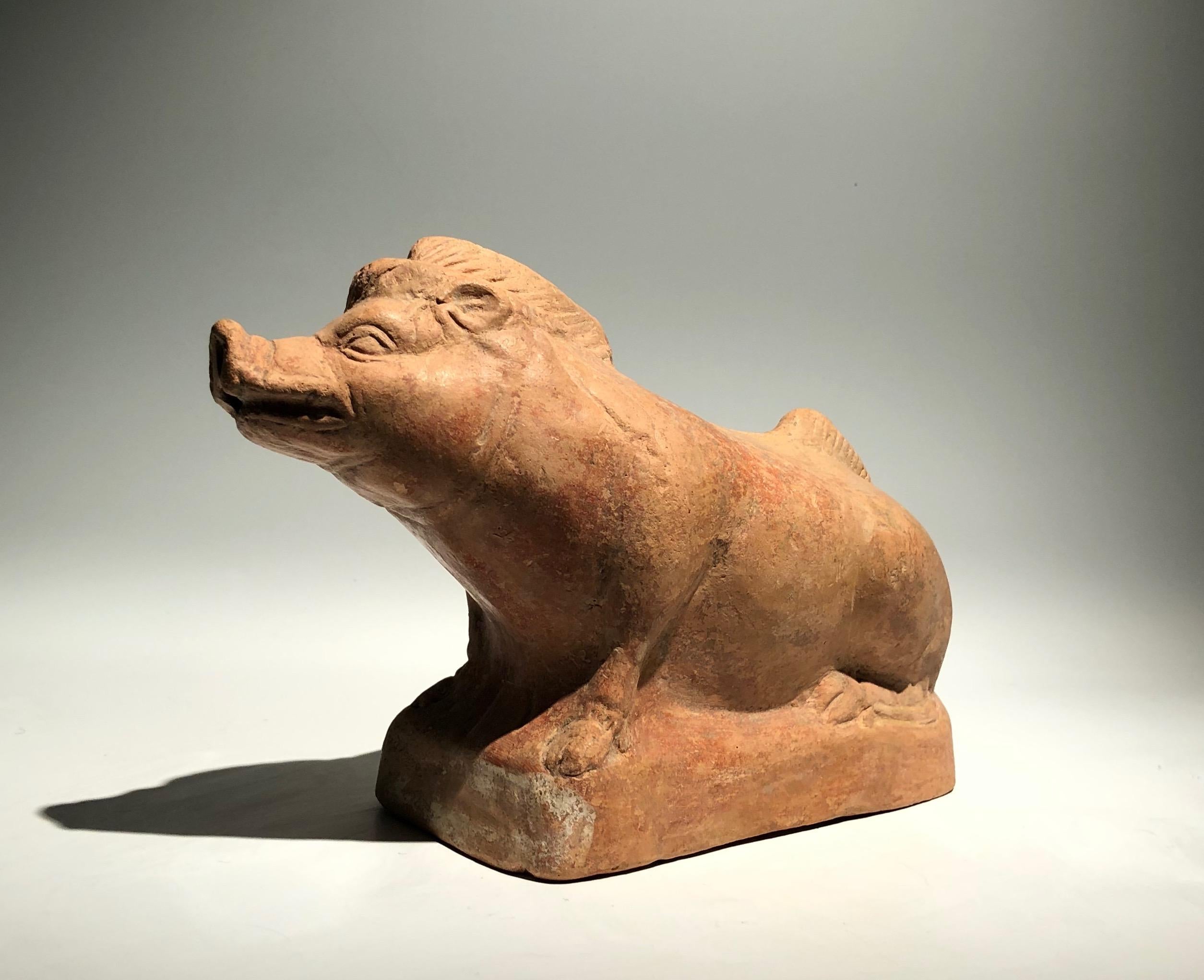 A rare Hellenistic, magenta plastic vase in form of a wild boar naturalistically modelled with visible teeth and expressive eyes. Magenta ware is a class of household pottery containers (mostly lamp fillers and flasks) in the form of statuettes. The