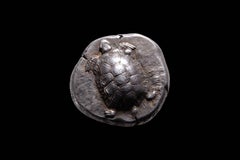 Ancient Greek Silver Tortoise Stater Coin from Aegina - 456 BC