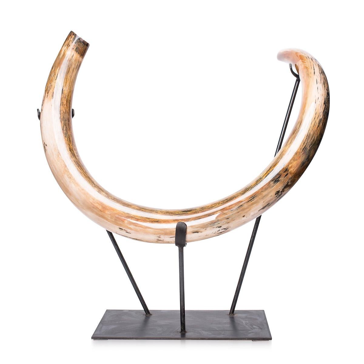 Ancient Ice Age Mammoth Tusk on Stand, 10, 000 BC im Zustand „Gut“ in Royal Tunbridge Wells, Kent