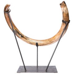 Ancient Ice Age Mammoth Tusk on Stand, 10, 000 BC