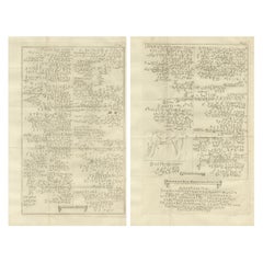 Antike Inschriften aus Sinai und Ägypten - Inscriptio Memnonis, um 1710 Kupferstich