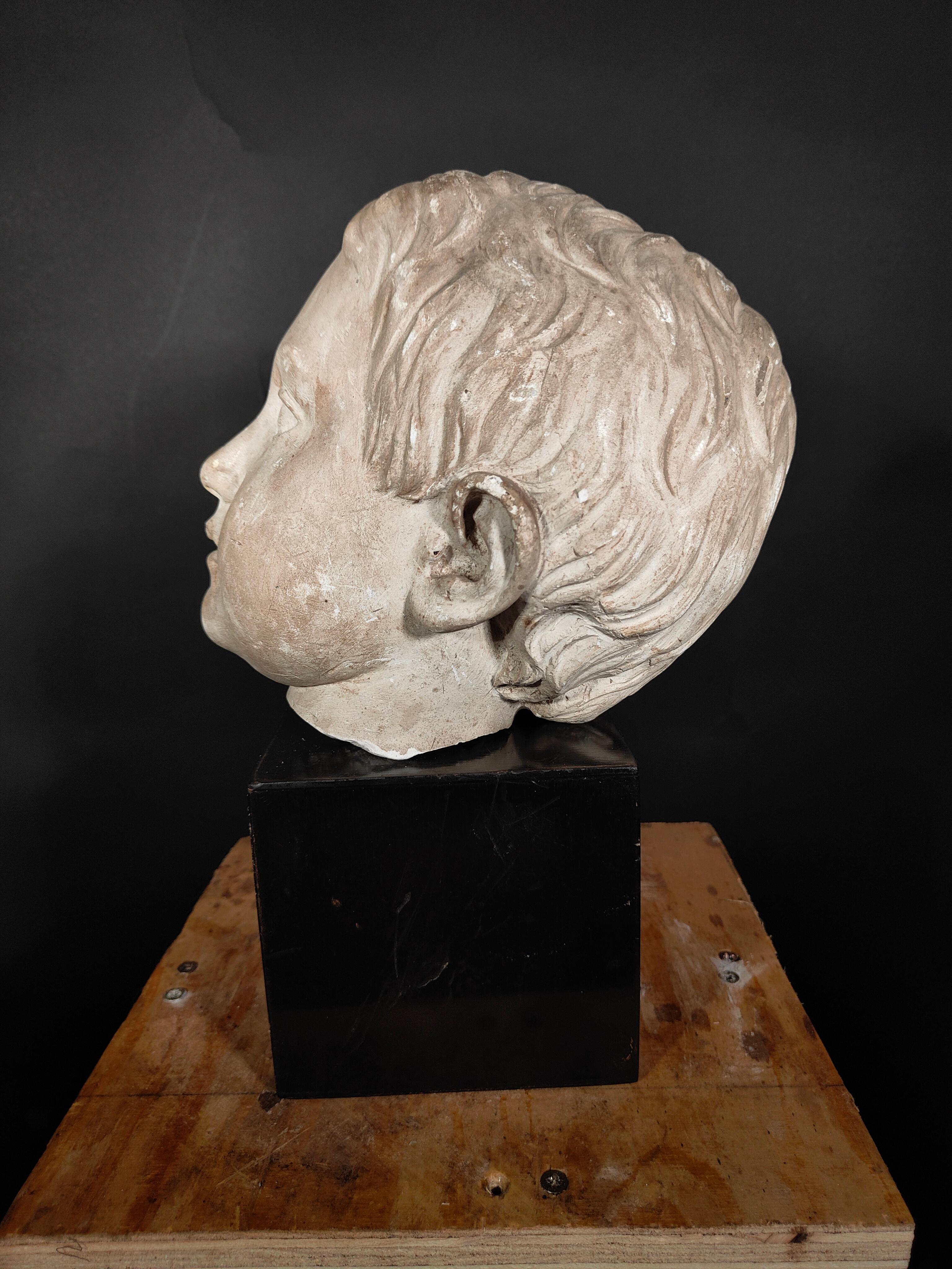 Ancient Italian Head in Plaster 19th Century For Sale 2