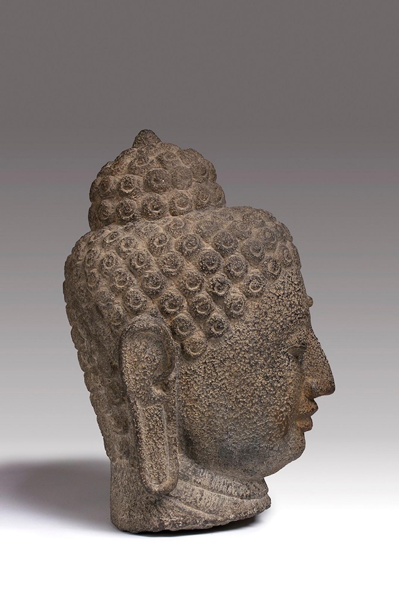 Buddha’s head is an original sculpture made in Java.

Original andesite rock.

Provenance: Private Collection.

Excellent conditions. 

The head of Buddha has an oval shape with half-closed eyes, aquiline nose and sinuous lips. The hair is