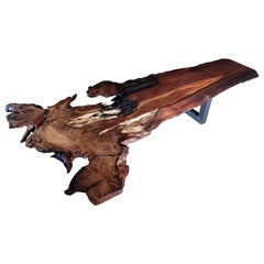 Ancient Kauri Table No. 194 — Complete Tree Form with Amber