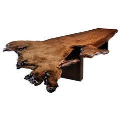 Ancient Kauri Table No. 194 — Complete Tree Form with Amber
