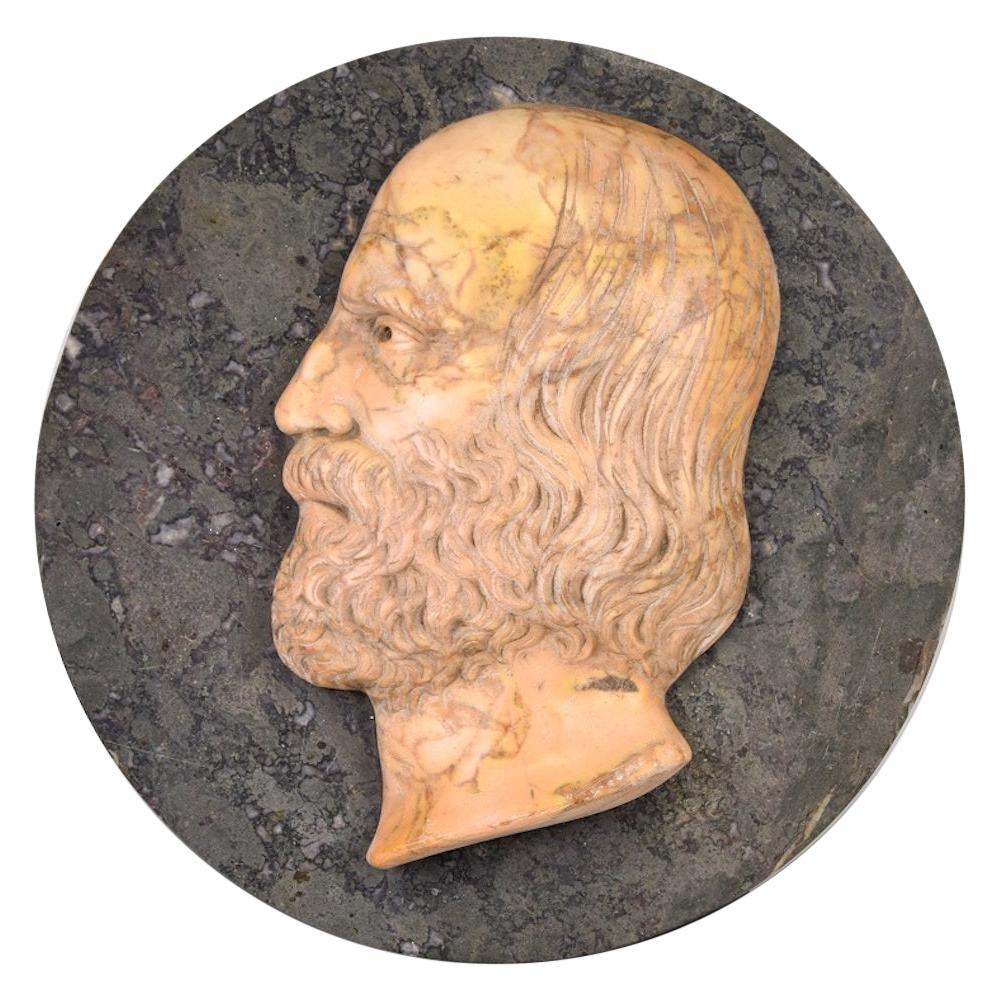 Ancient Marble Bas-Relief with Portrait of Giuseppe Garibaldi, Late 19th Century For Sale