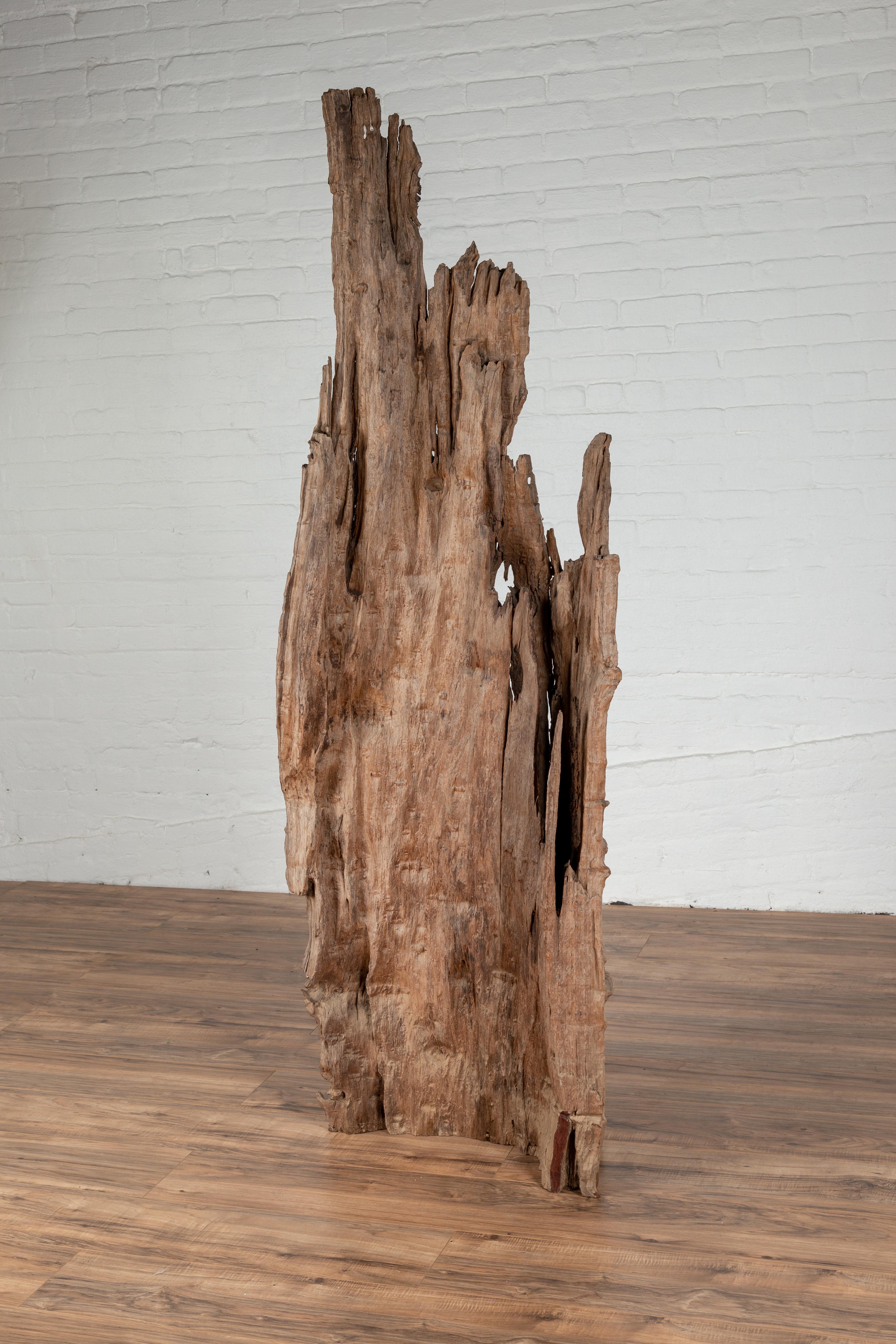vente sculpture bois flotte
