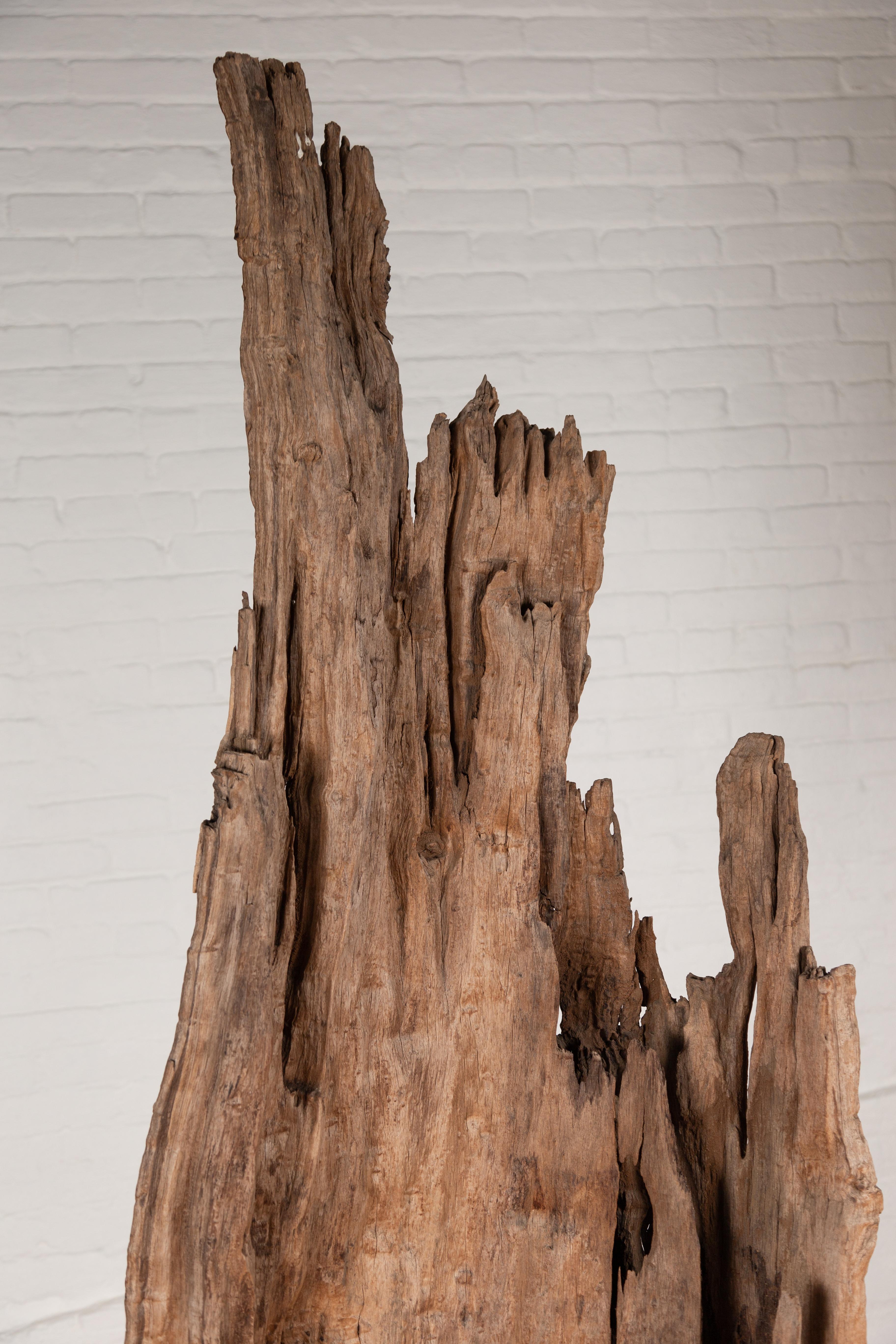 Ancienne sculpture en bois flotté de Thaïlande du Nord trouvée dans la région de Chiang Mai Bon état - En vente à Yonkers, NY