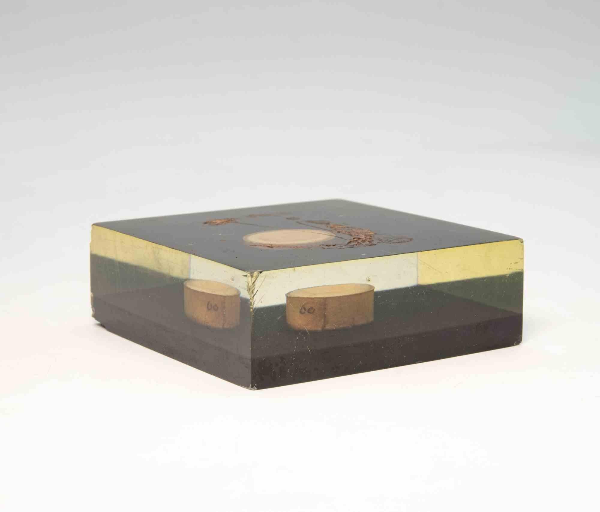 italien Ancienne intaille camée néoclassique avec boîtier en plexiglas, 19e siècle en vente