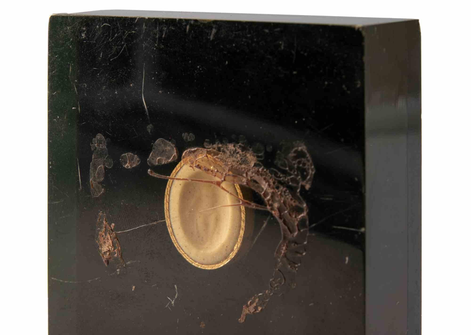 Ancienne intaille camée néoclassique avec boîtier en plexiglas, 19e siècle Bon état - En vente à Roma, IT