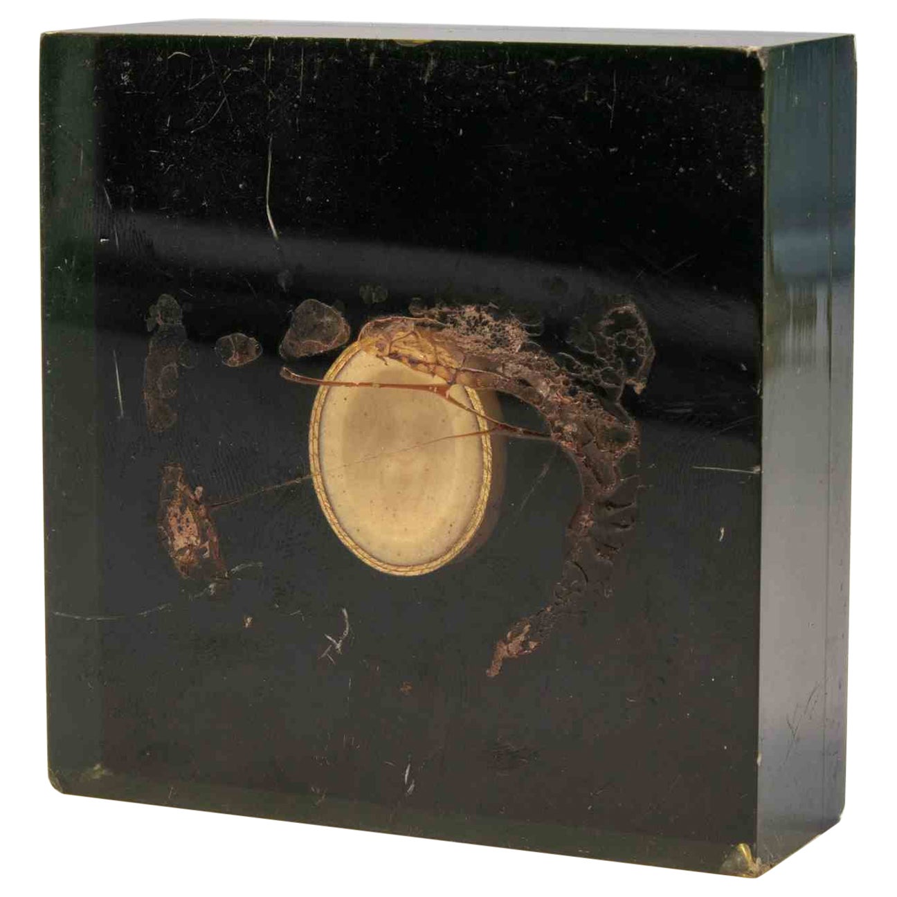 Ancienne intaille camée néoclassique avec boîtier en plexiglas, 19e siècle