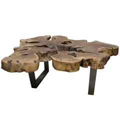 Ancient Olive Tree Table Ancient Olive Tree Table