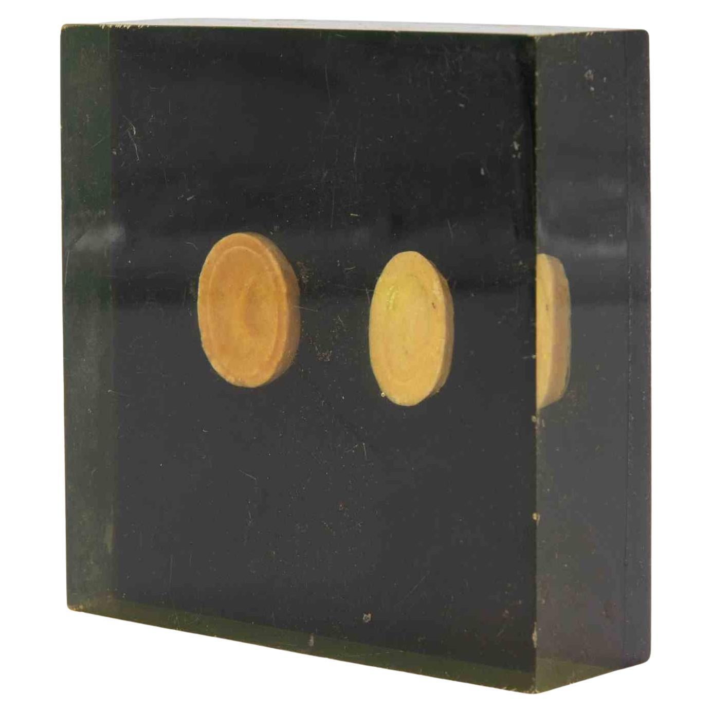 Ancienne paire d
intailles en camée néoclassique avec boîtier en plexiglas, 19e siècle