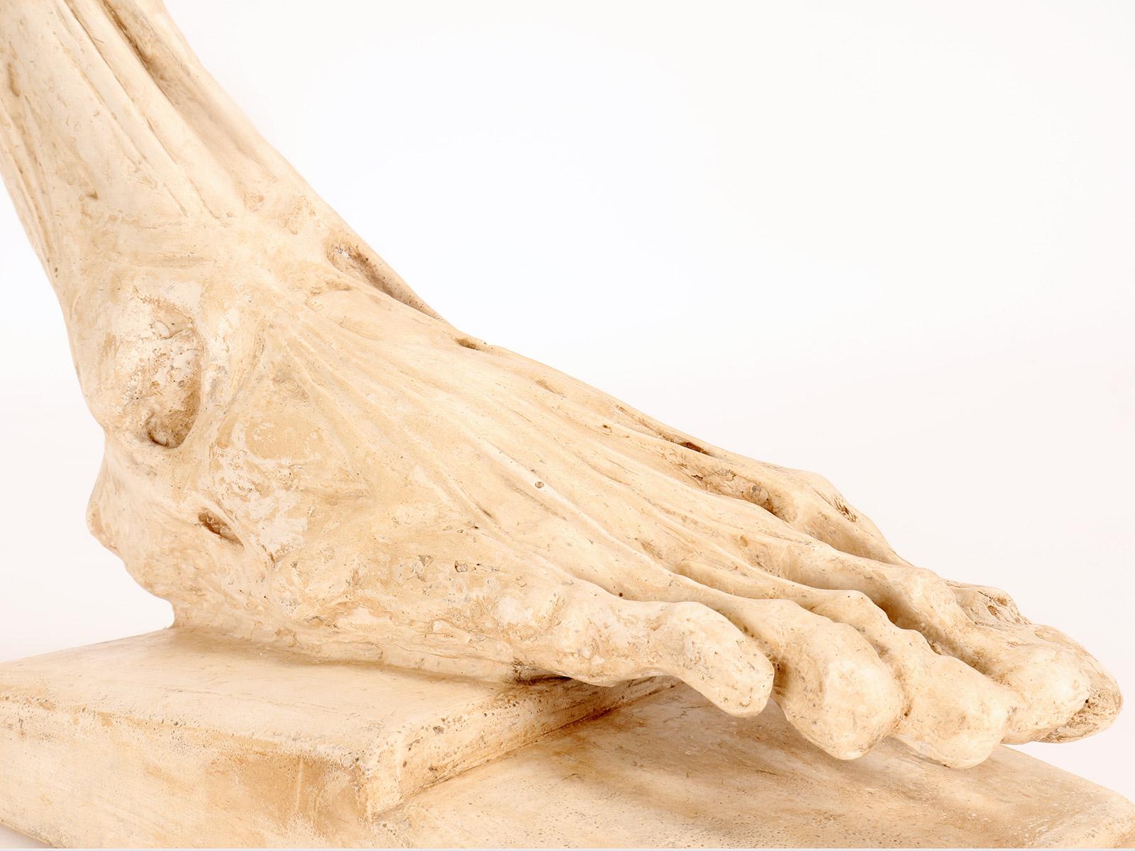 Antico modello anatomico in gesso di un piede scorticato, Italia 1900. in vendita 4