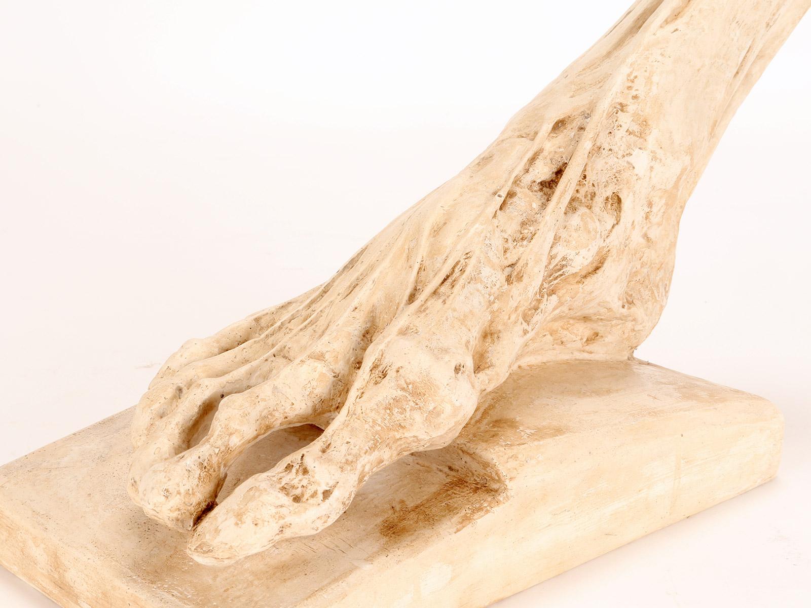 Antico modello anatomico in gesso di un piede scorticato, Italia 1900. in vendita 5