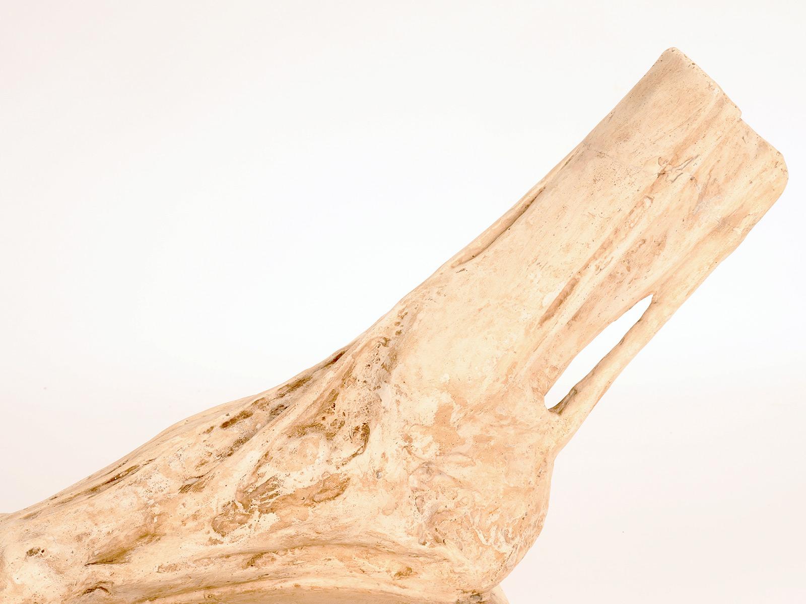 Antico modello anatomico in gesso di un piede scorticato, Italia 1900. in vendita 6