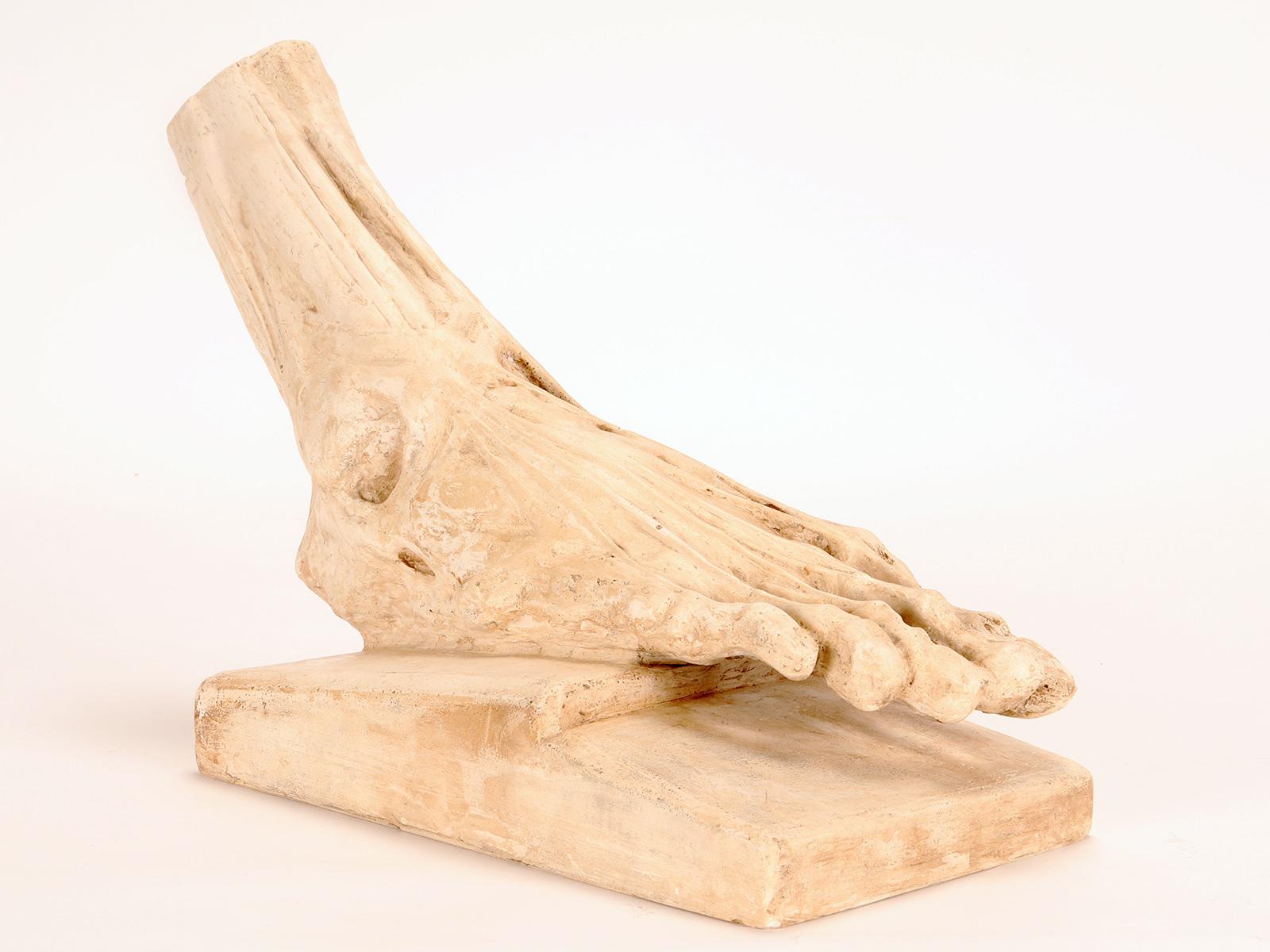 Antico modello anatomico in gesso di un piede scorticato, Italia 1900. In condizioni buone in vendita a Milan, IT
