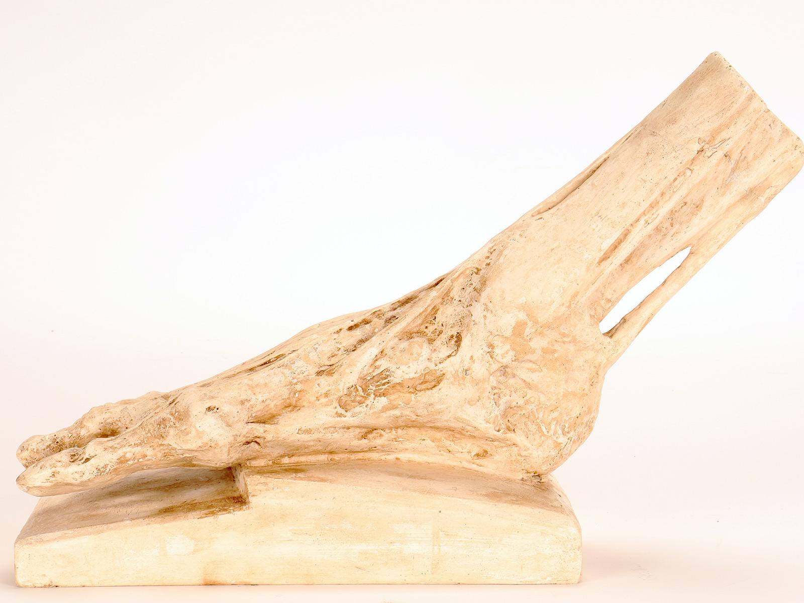 XX secolo Antico modello anatomico in gesso di un piede scorticato, Italia 1900. in vendita