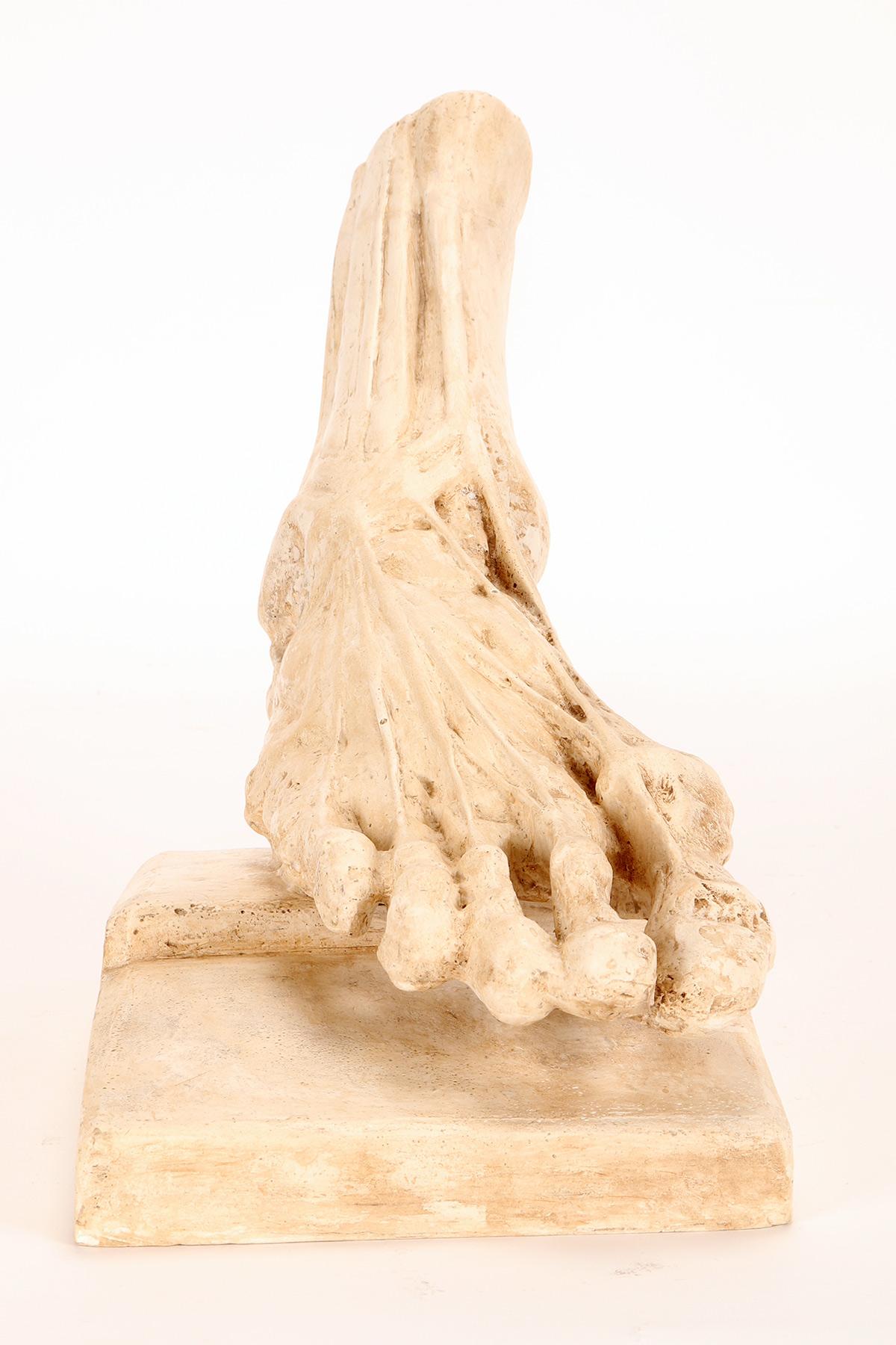 Intonaco Antico modello anatomico in gesso di un piede scorticato, Italia 1900. in vendita